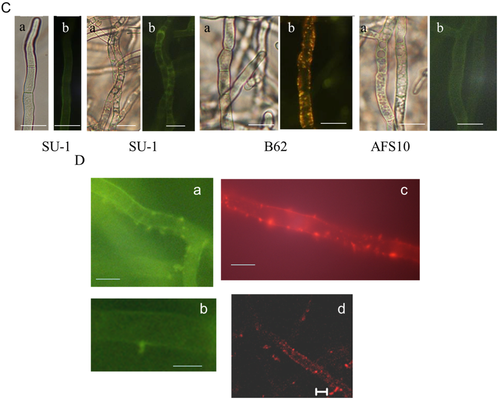 Toxins 07 01411 g001b 1024