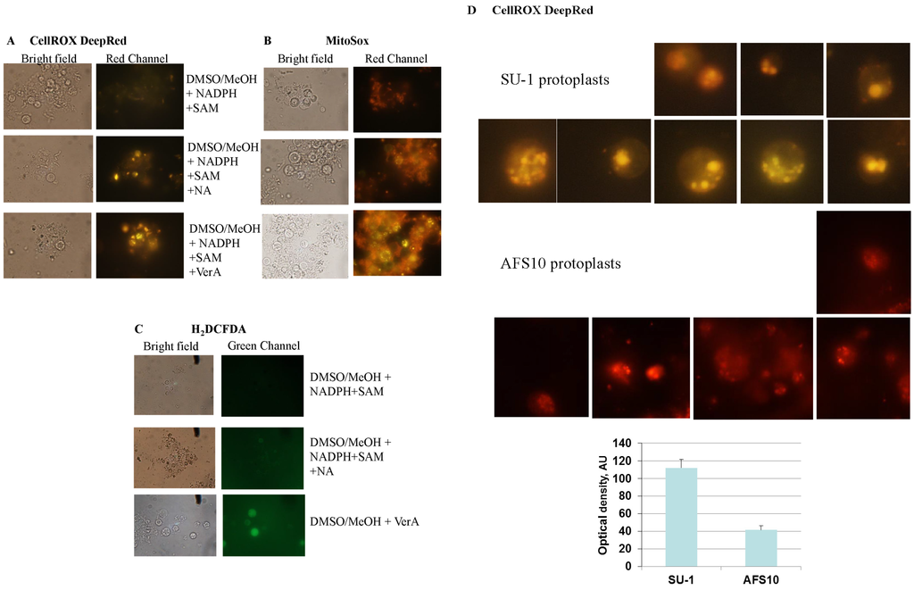 Toxins 07 01411 g003 1024