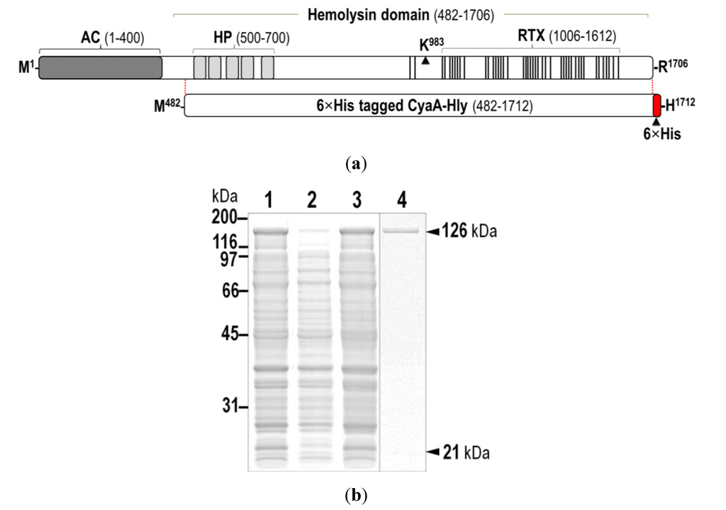 Toxins 07 01486 g001a 1024