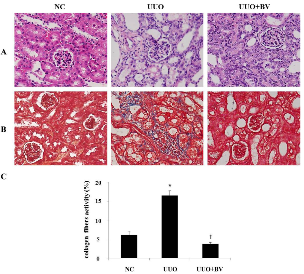 Toxins 07 01917 g001 1024