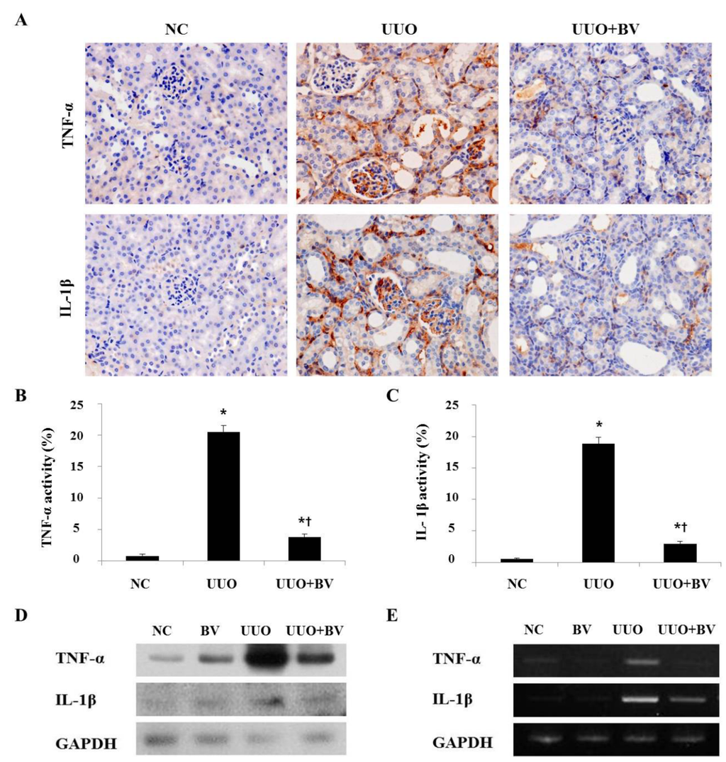 Toxins 07 01917 g002 1024
