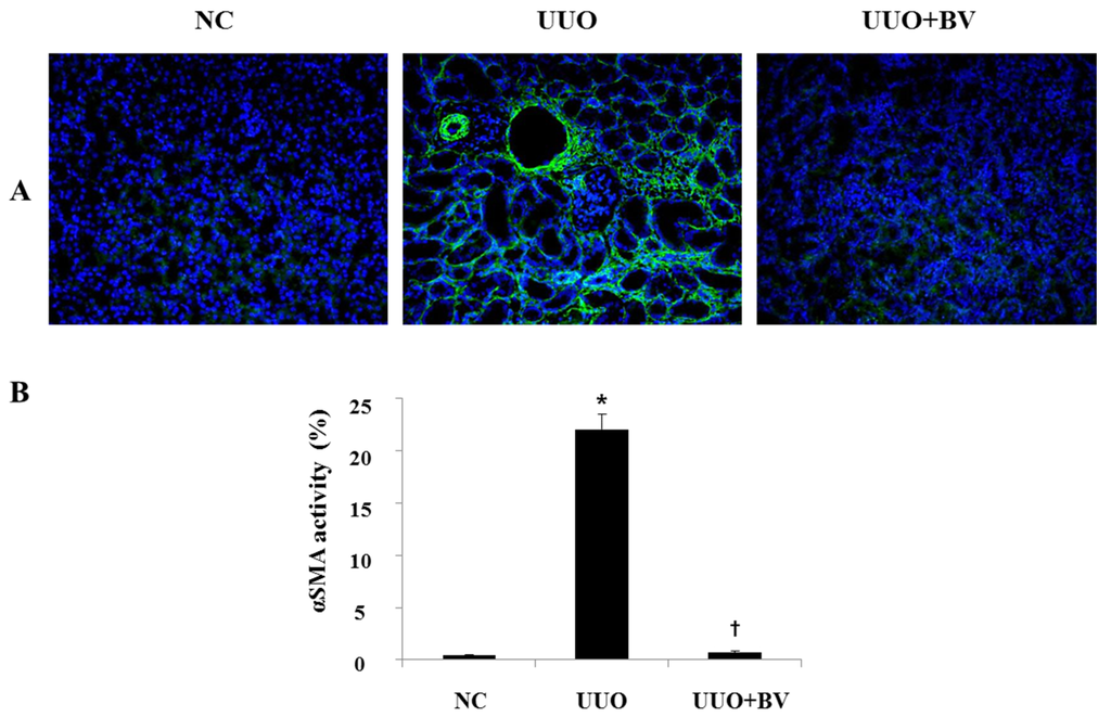 Toxins 07 01917 g004 1024