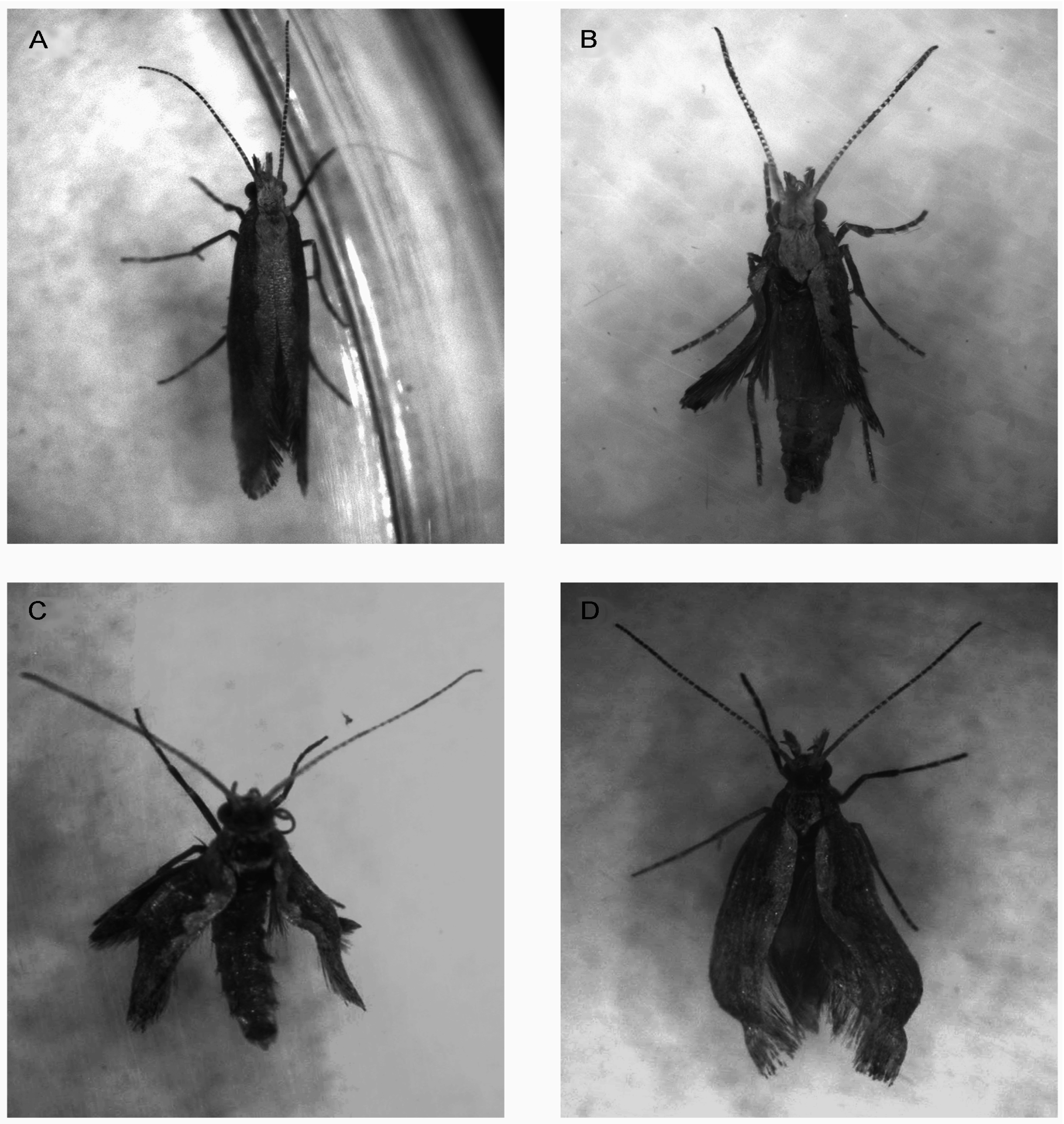 Toxins 07 01962 g003