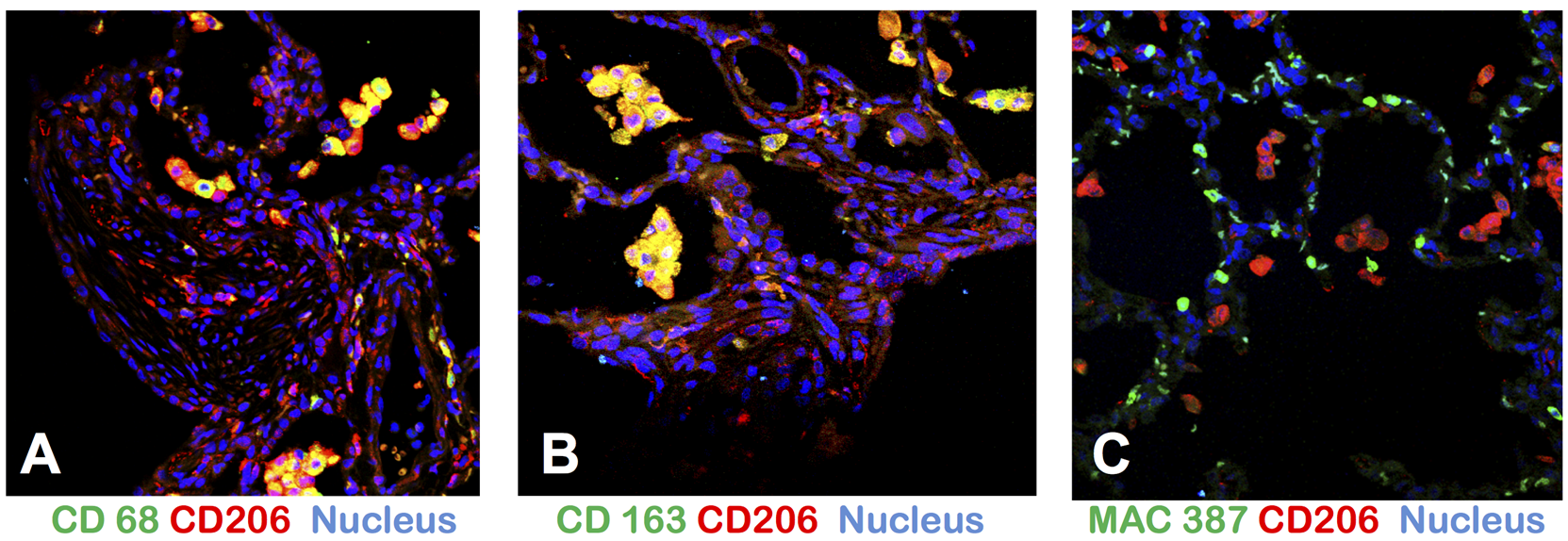Toxins 07 02121 g005