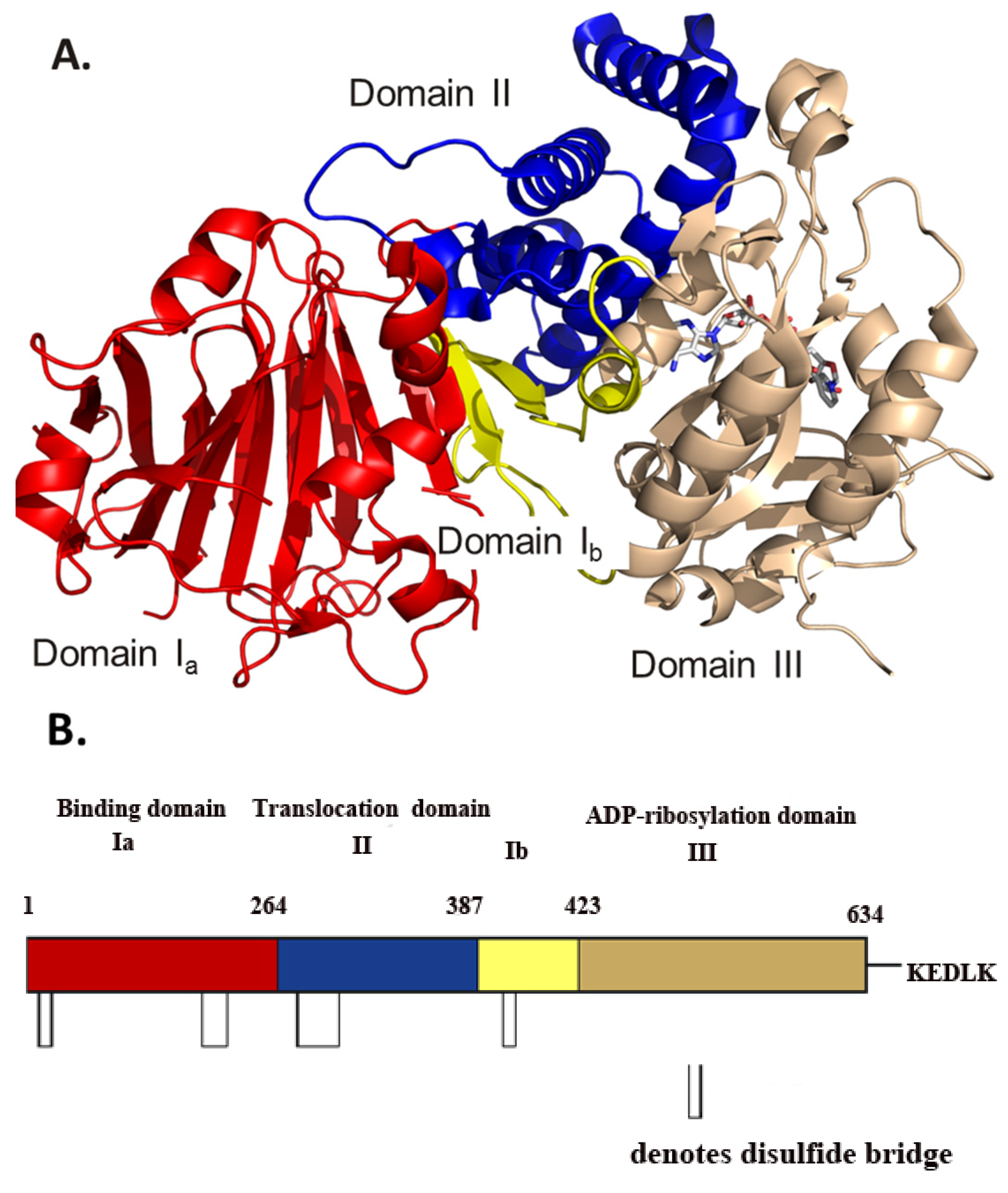 Toxins 07 02757 g001