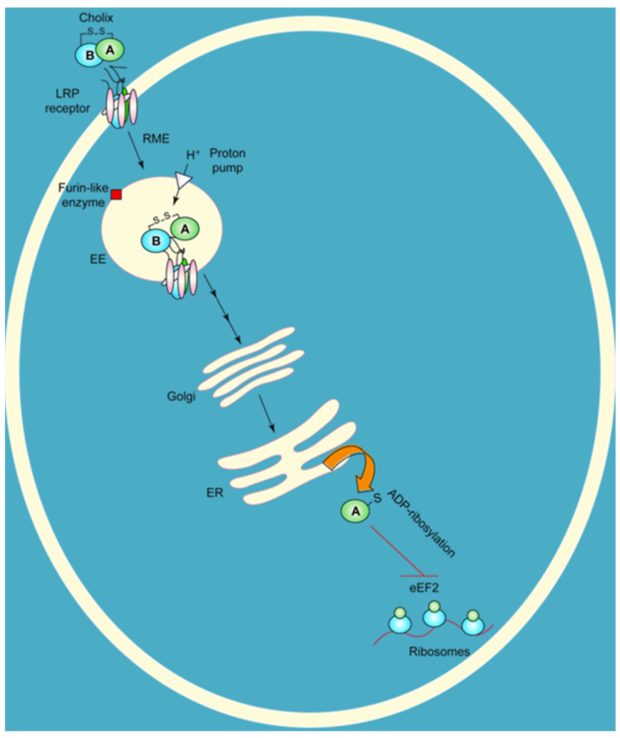 Toxins 07 02757 g002