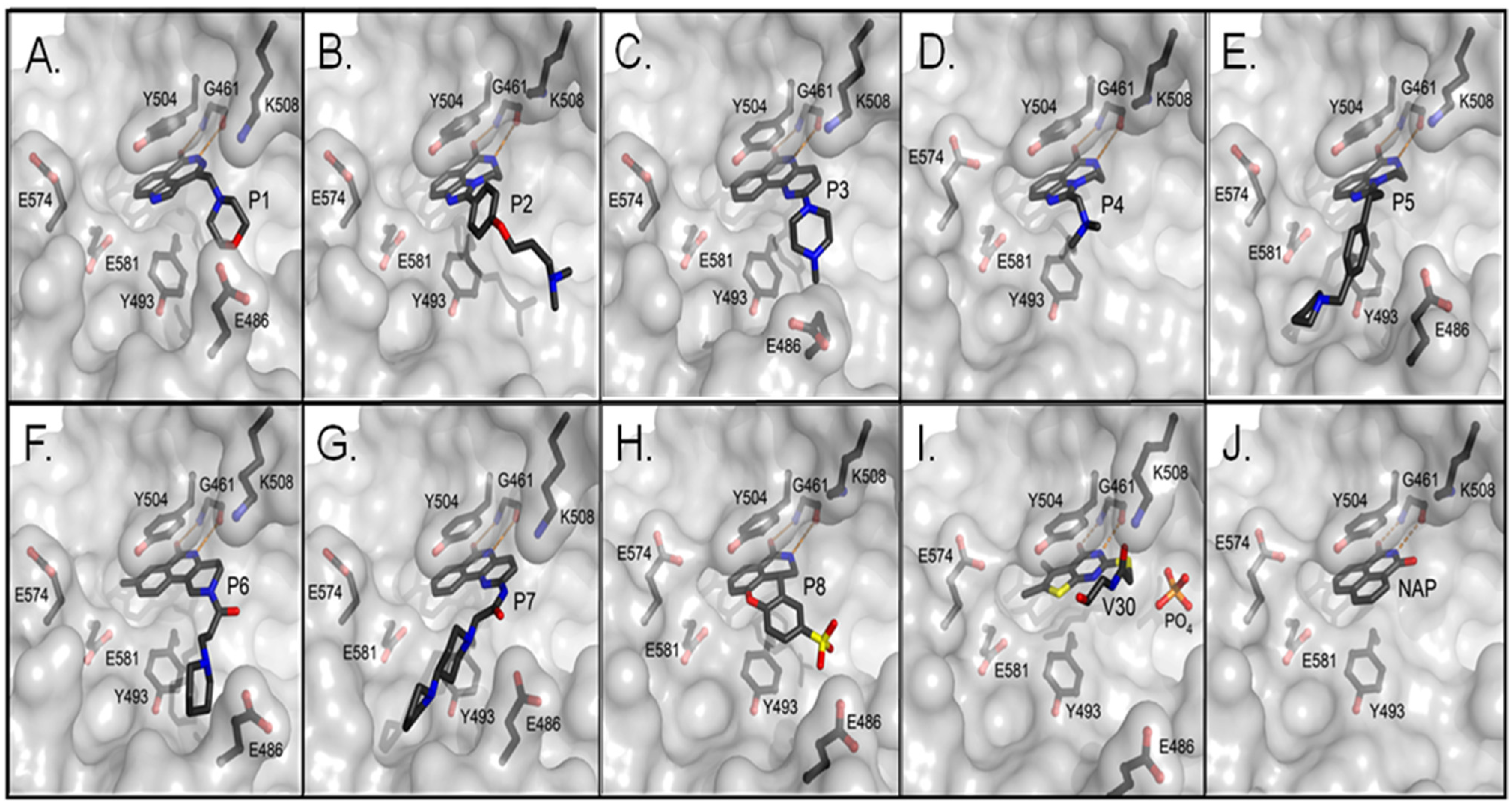 Toxins 07 02757 g003