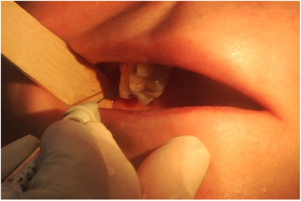 Toxins 07 02791 g002 1024