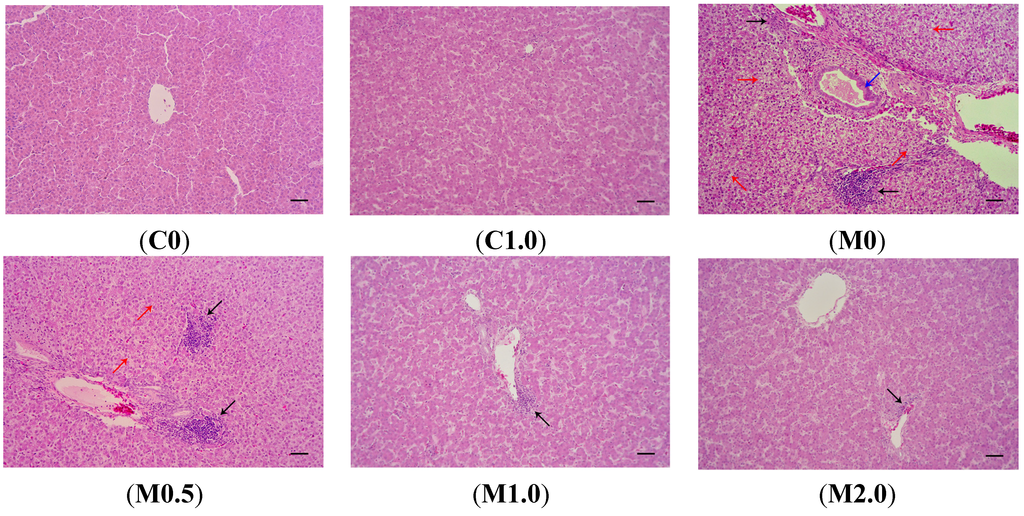 Toxins 07 03330 g002 1024