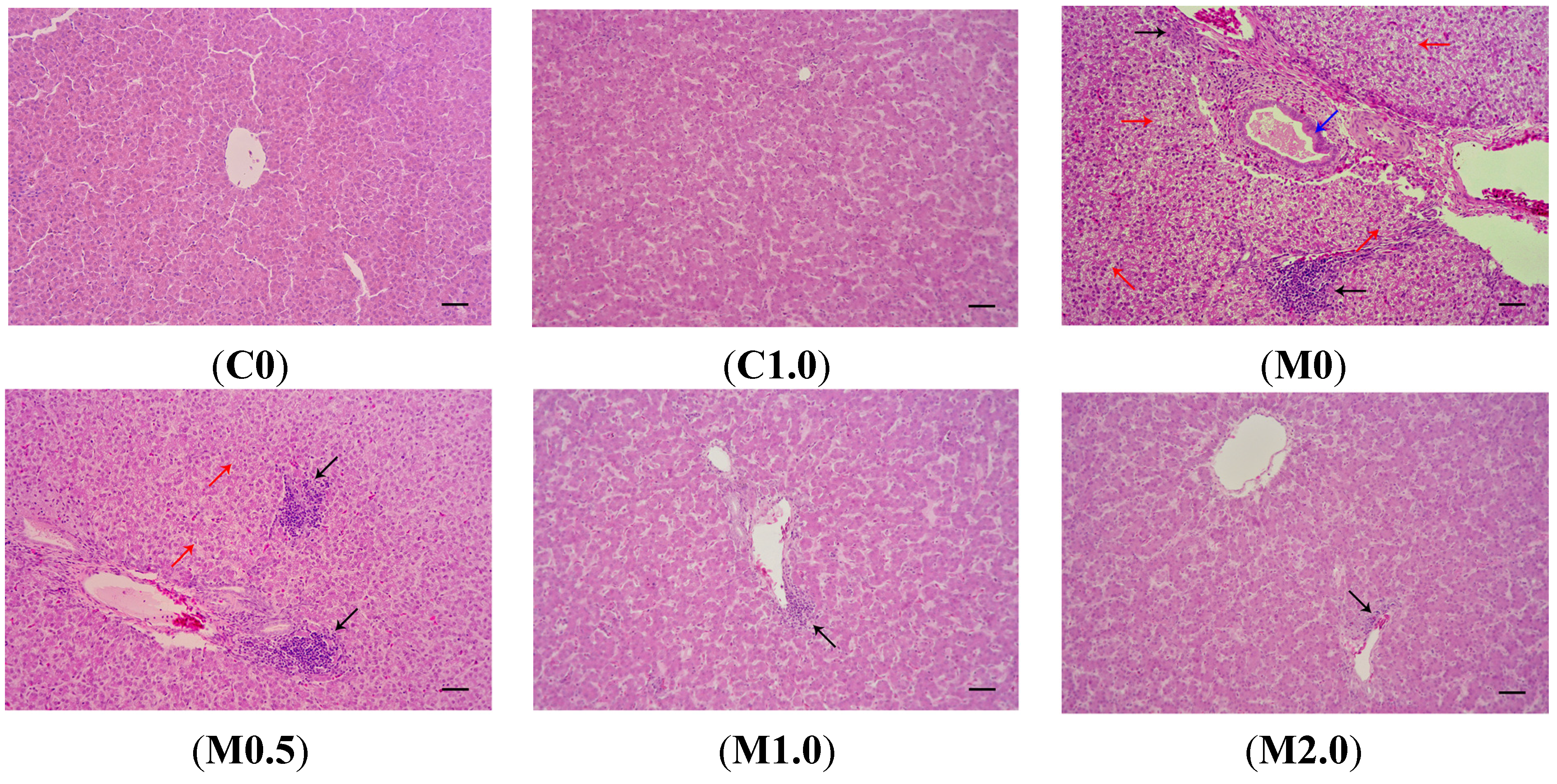 Toxins 07 03330 g002