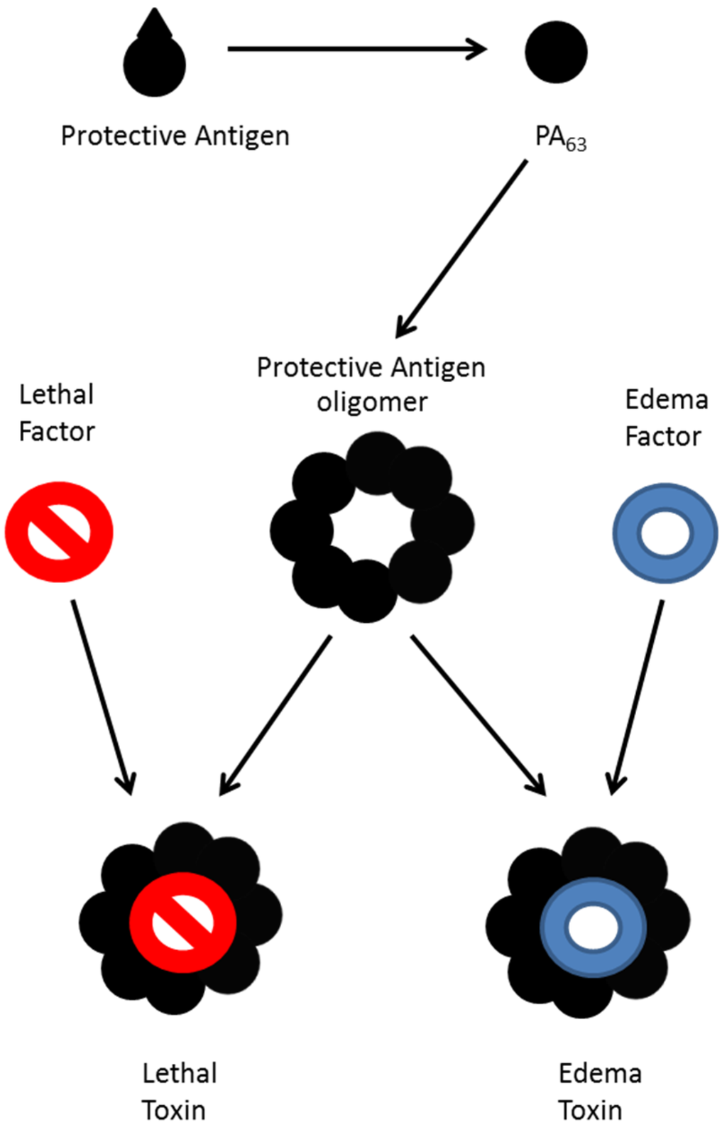 Toxins 07 03497 g001 1024