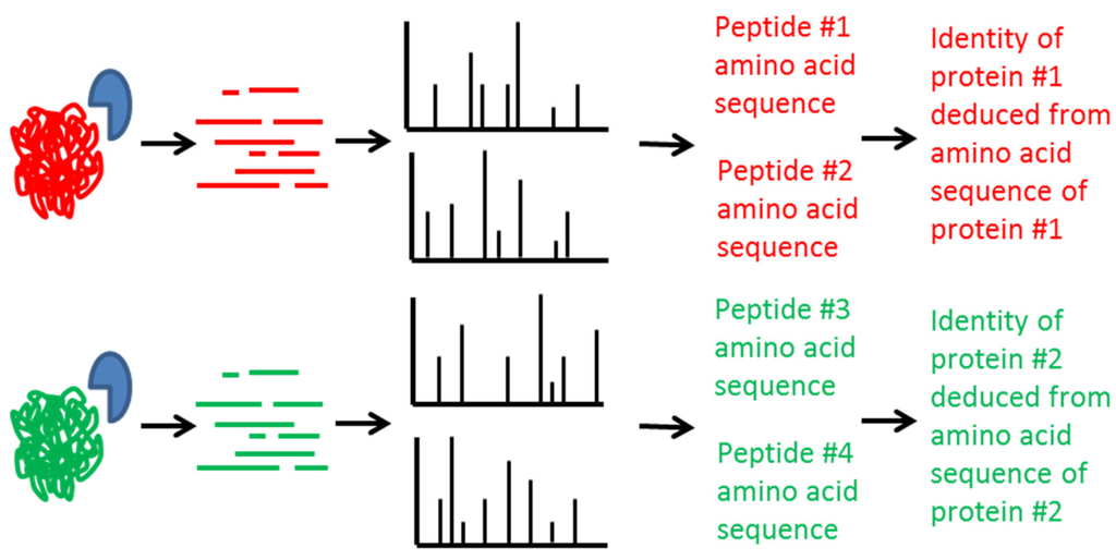 Toxins 07 03497 g003 1024