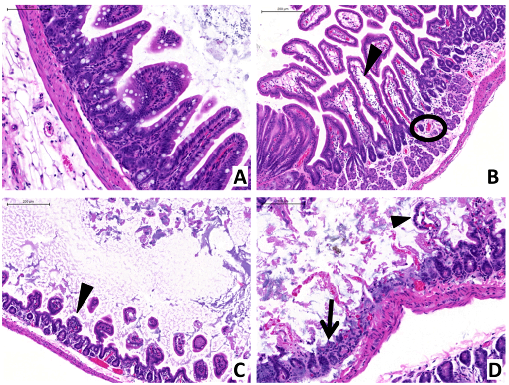 Toxins 07 03960 g002 1024
