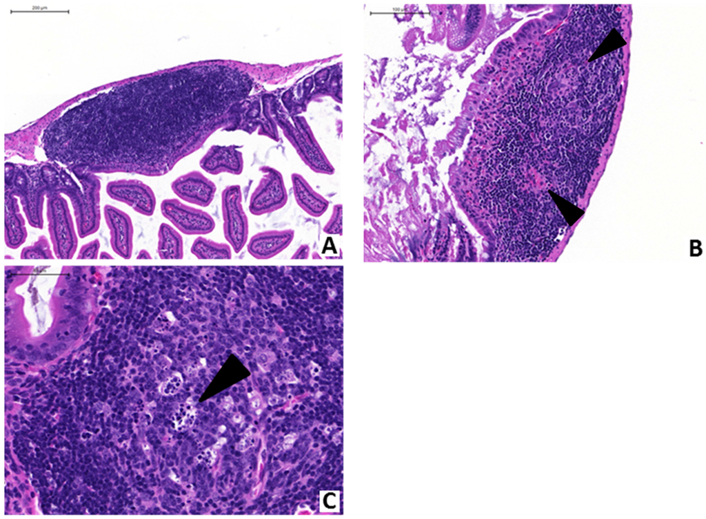 Toxins 07 03960 g003 1024