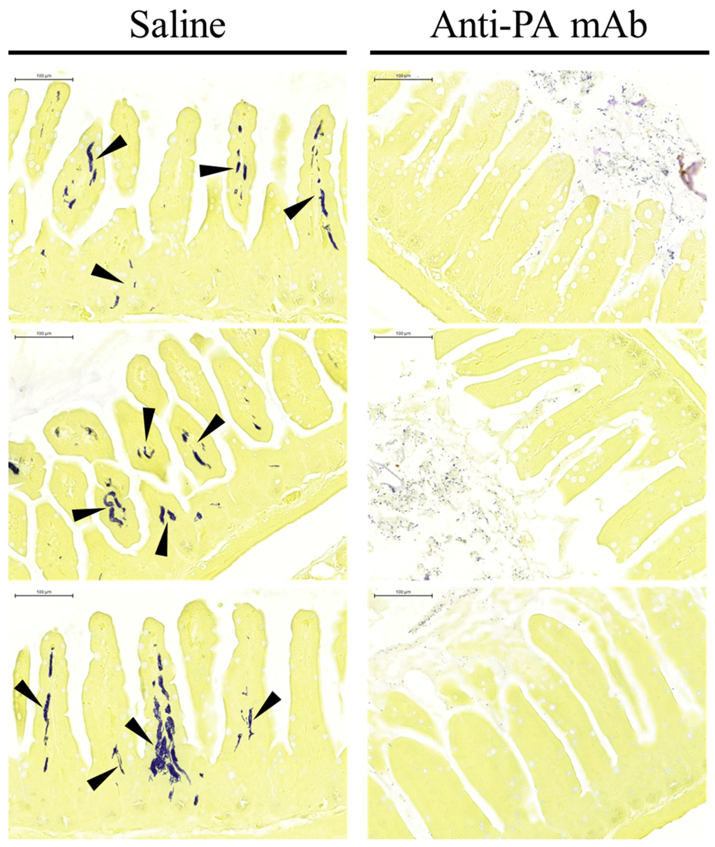 Toxins 07 03960 g005 1024