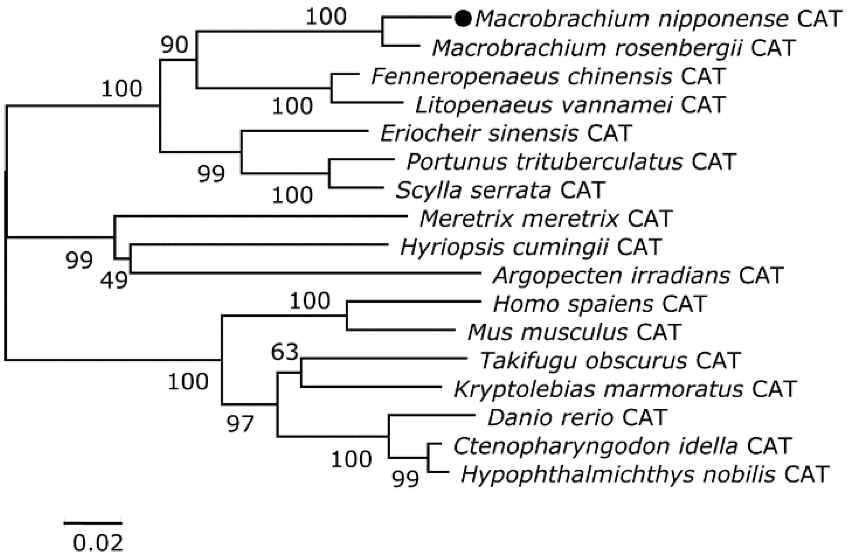 Toxins 07 04006 g001