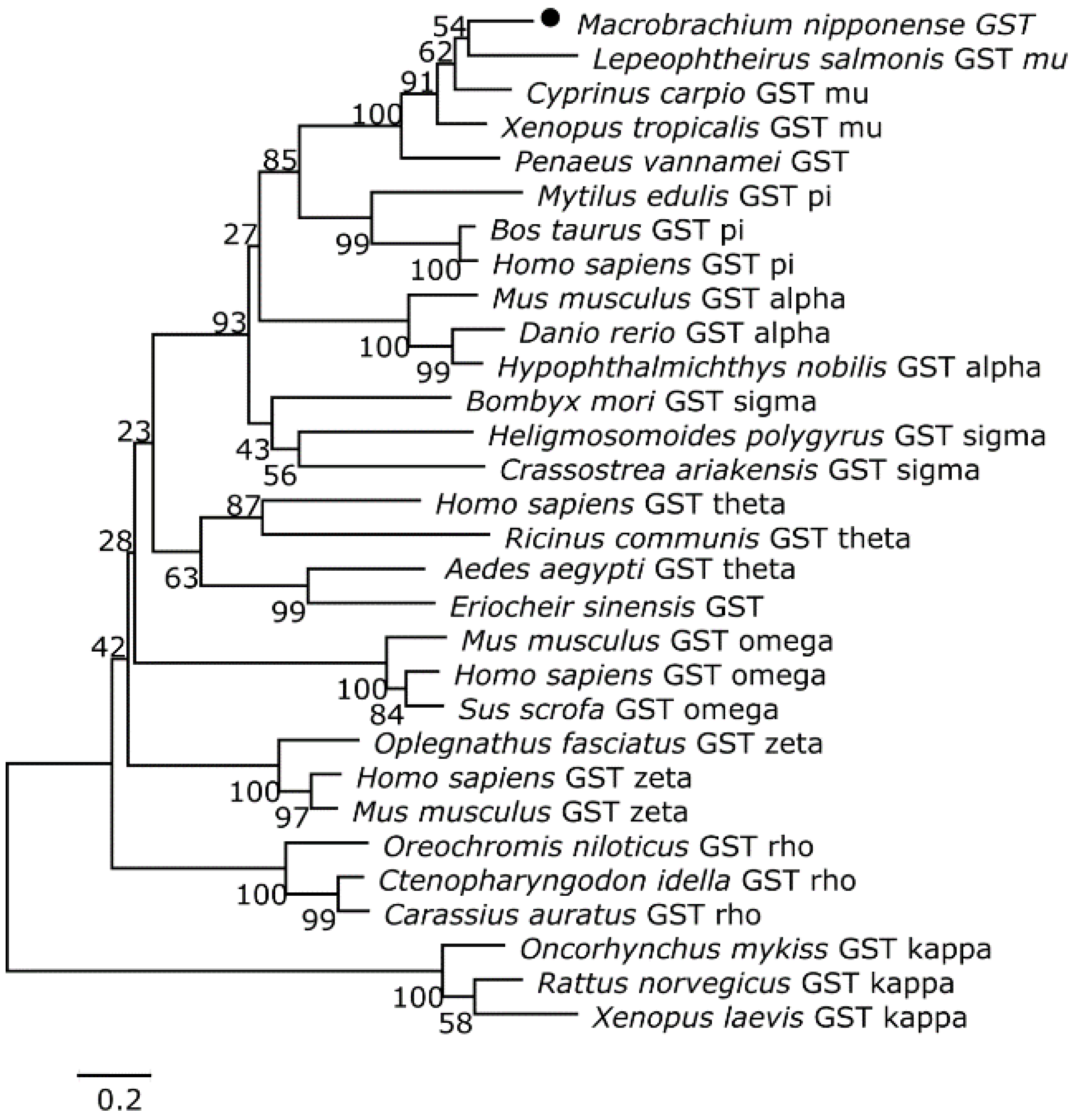 Toxins 07 04006 g002
