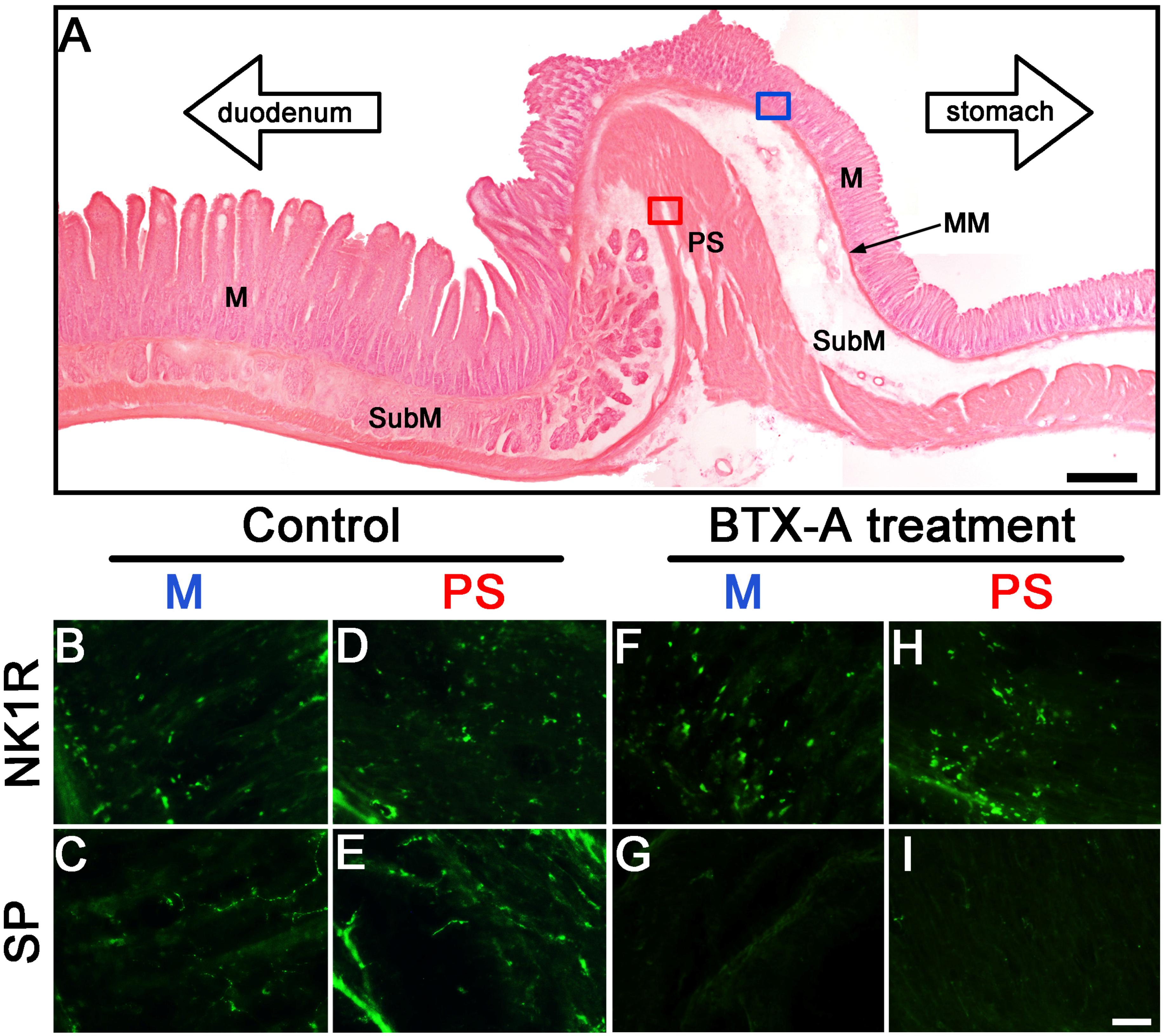 Toxins 07 04143 g004