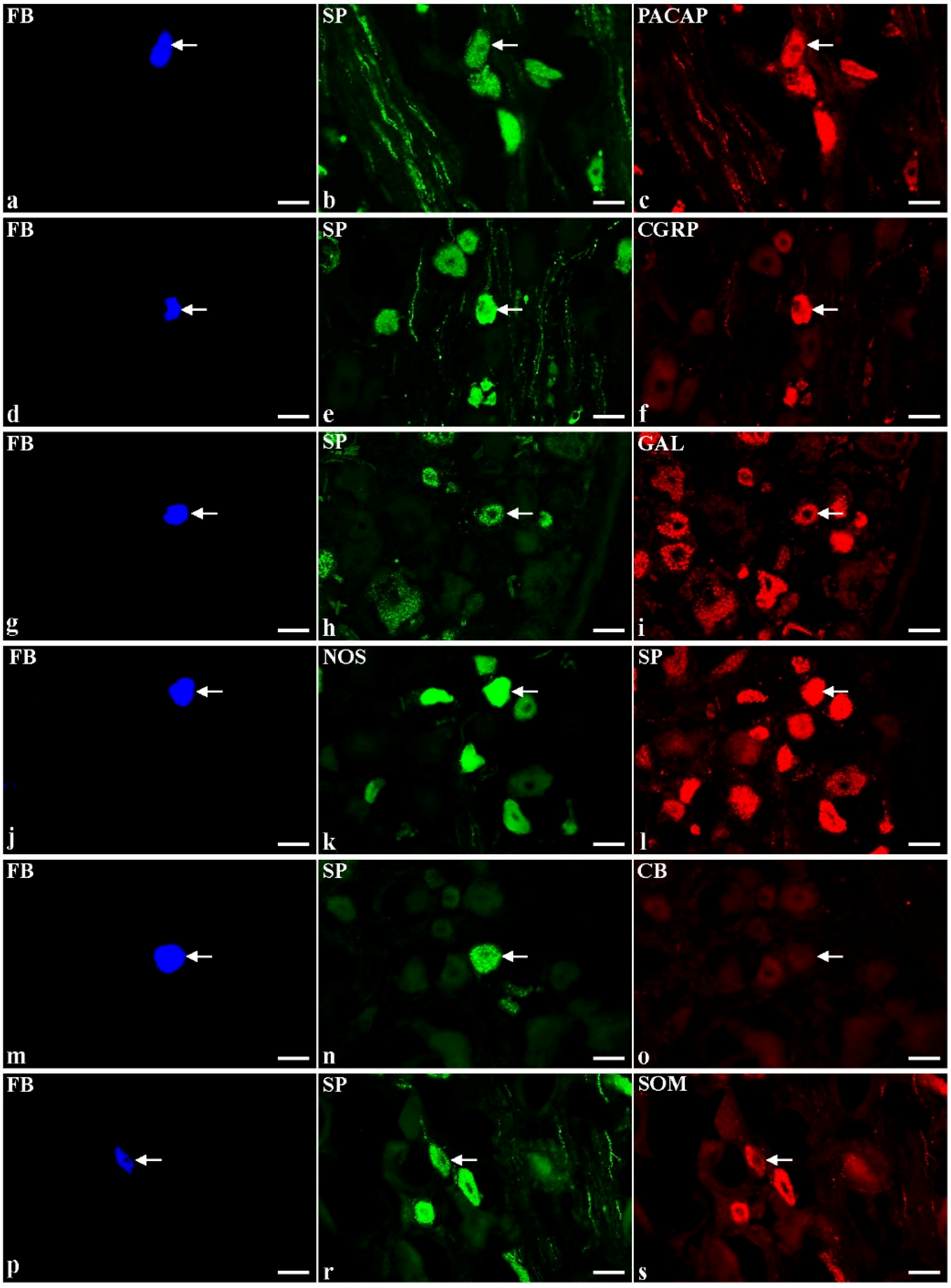Toxins 07 04797 g002