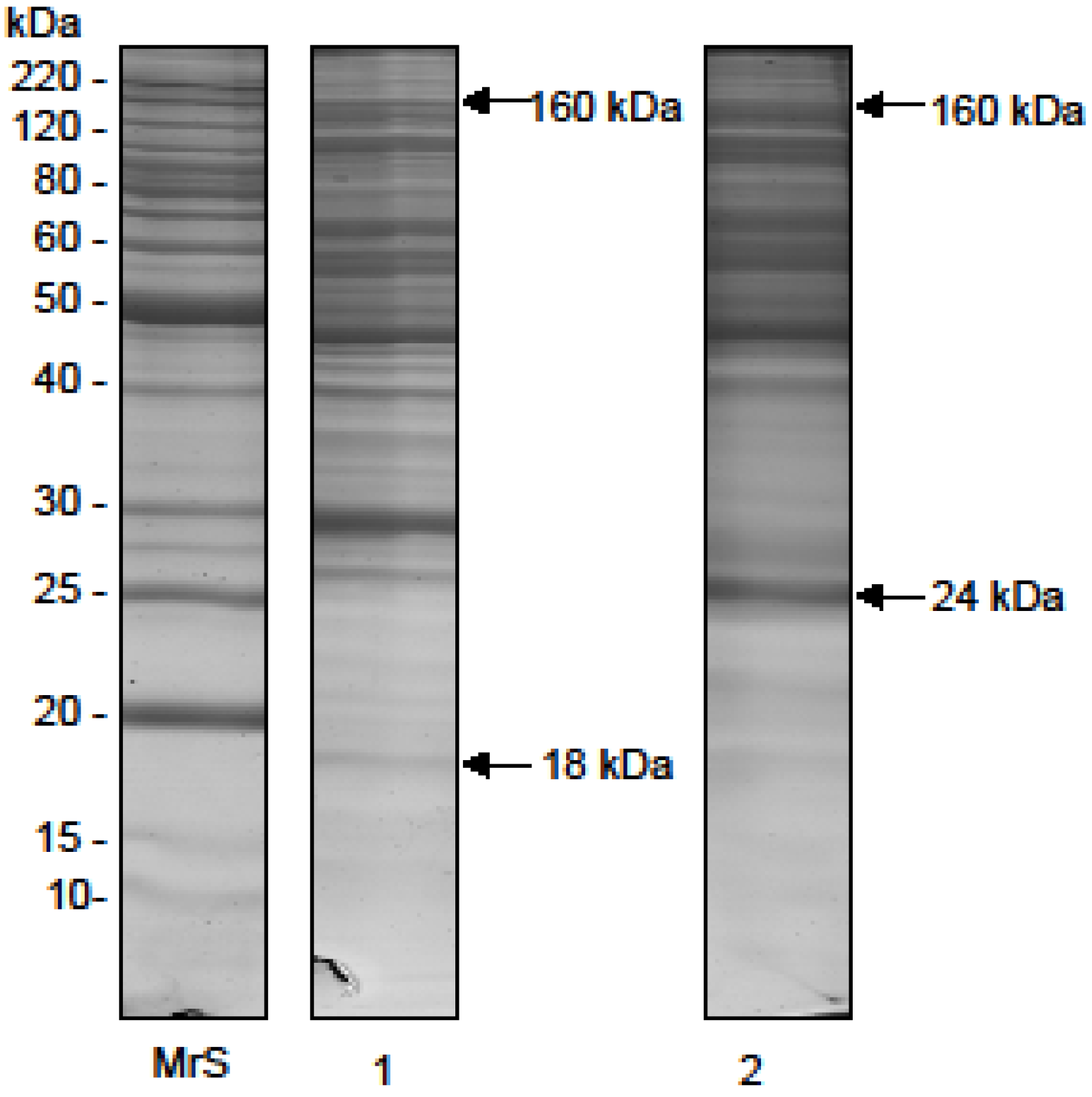 Toxins 07 04869 g001