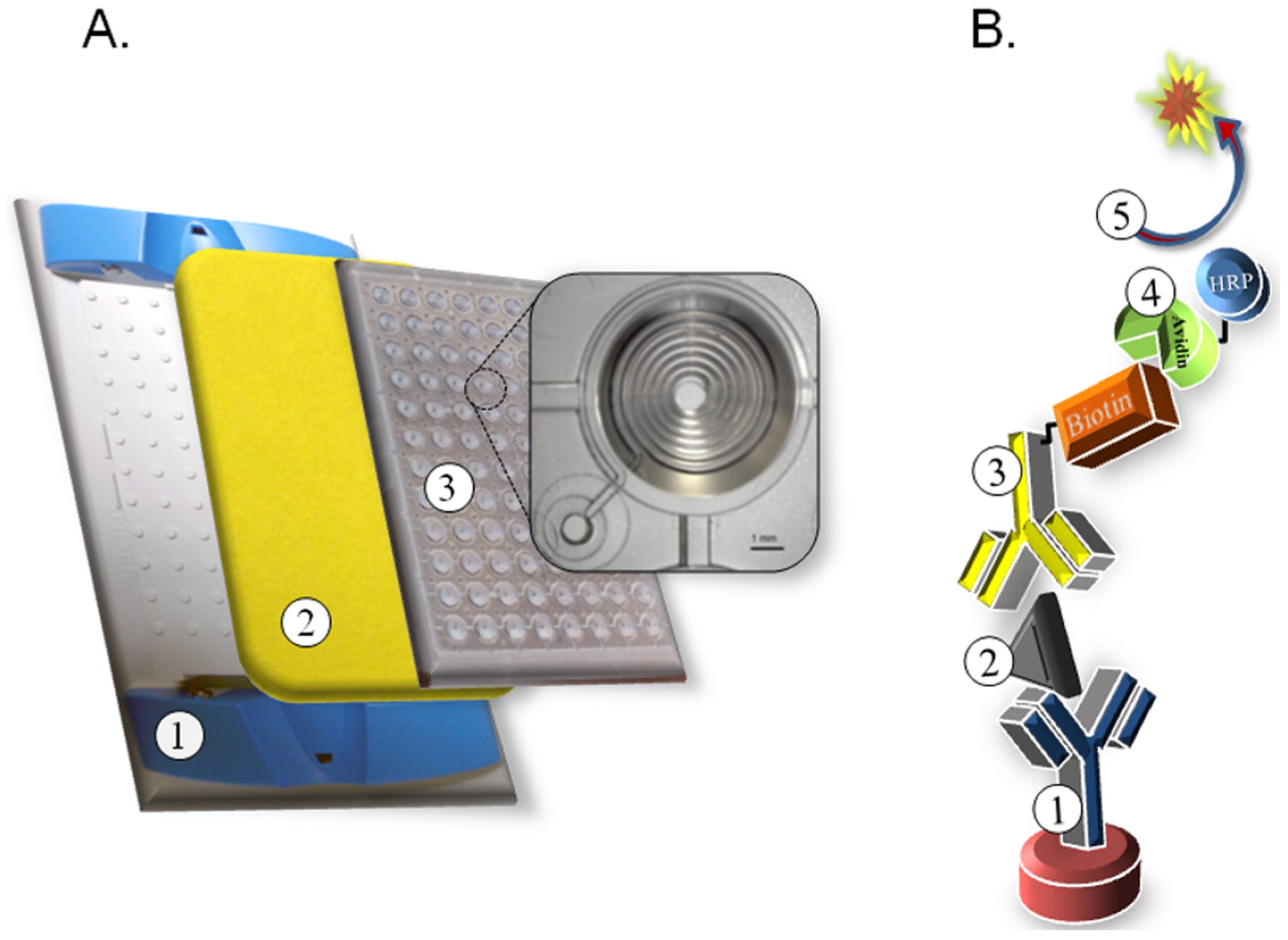 Toxins 08 00013 g001