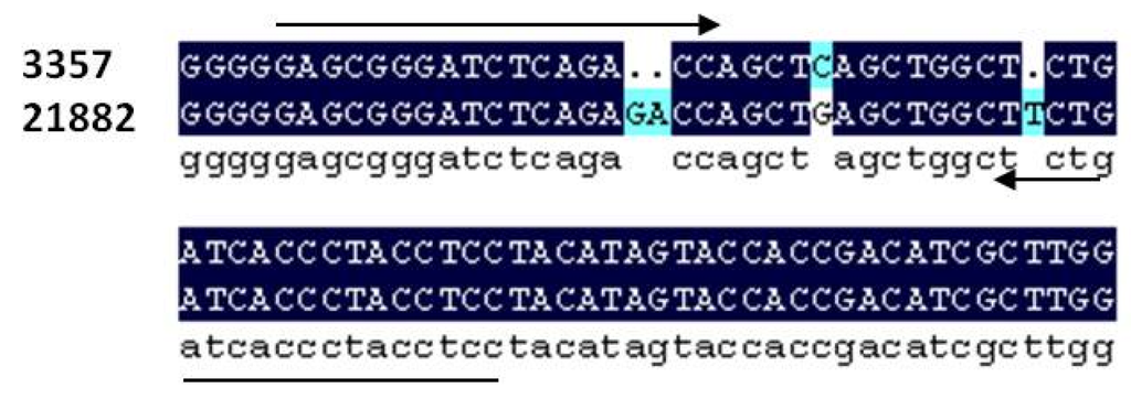 Toxins 08 00015 g001 1024
