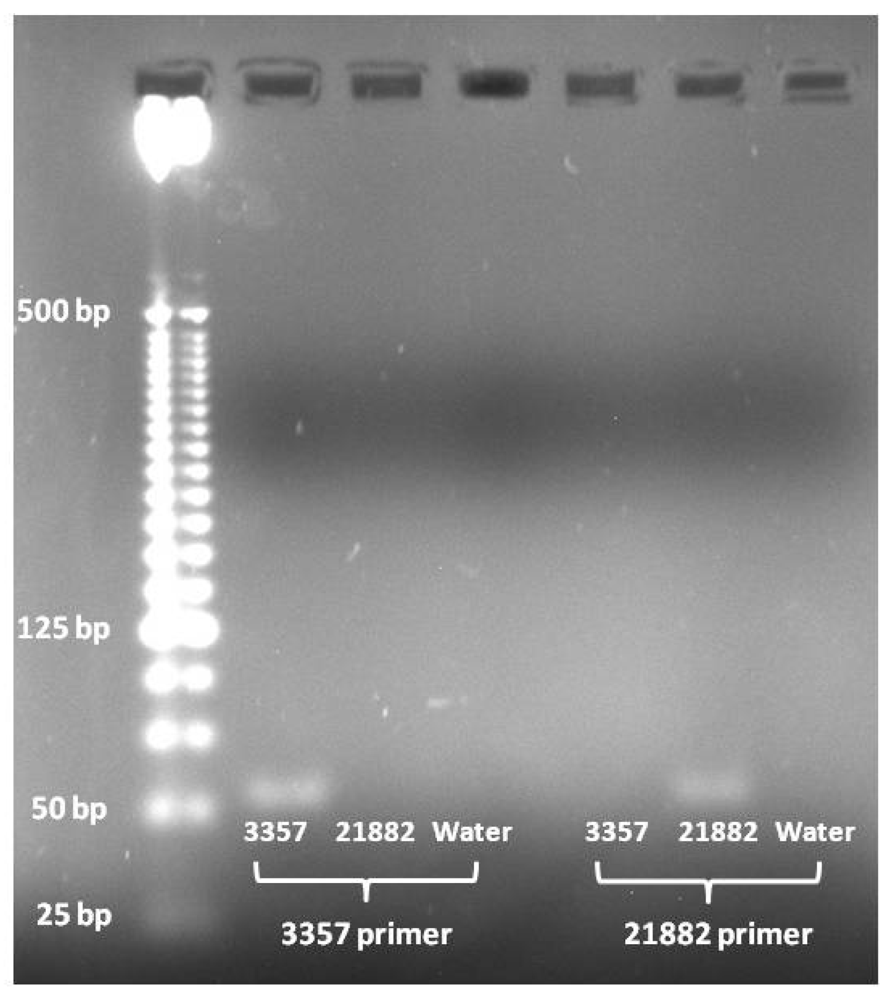 Toxins 08 00015 g002