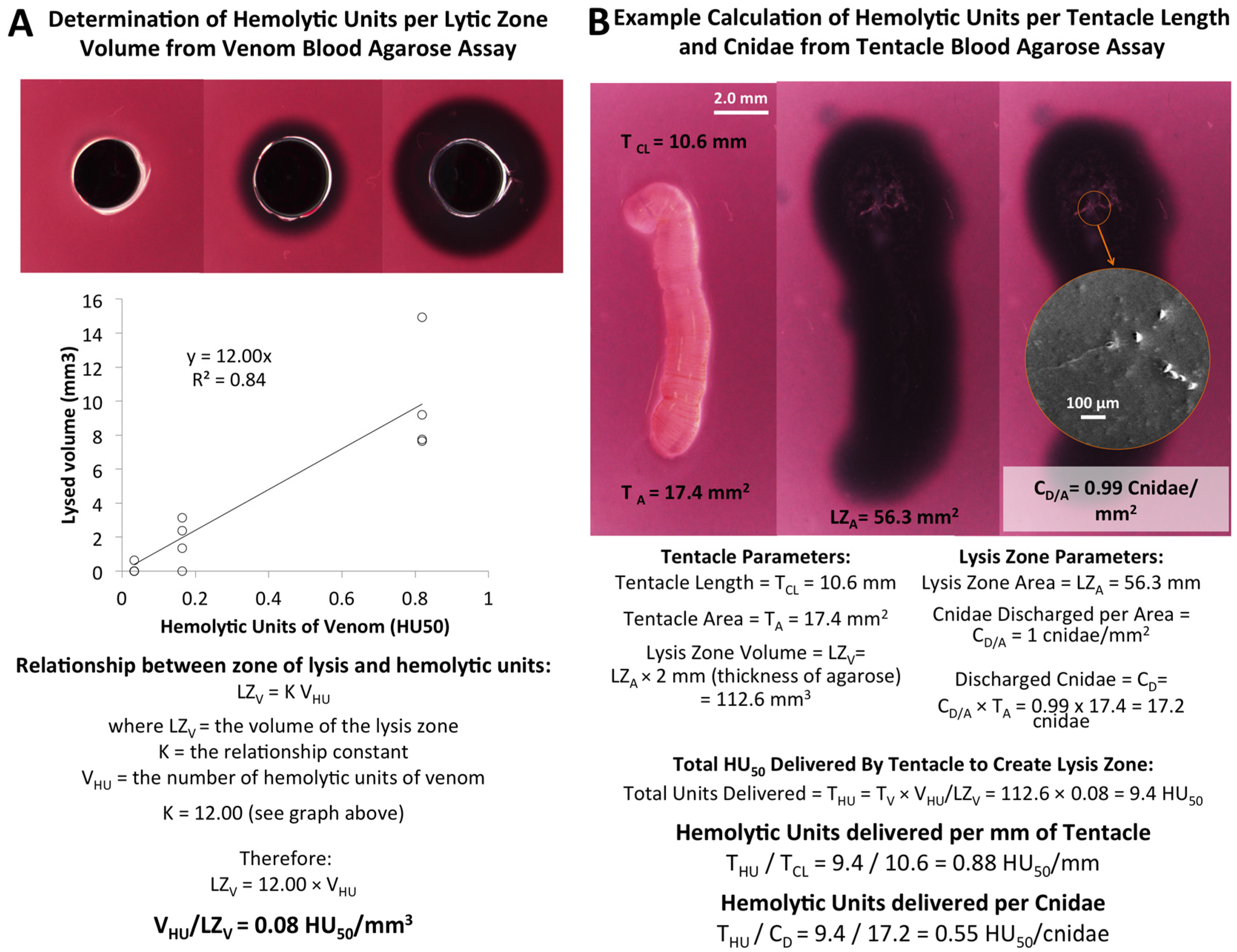 Toxins 08 00019 g003
