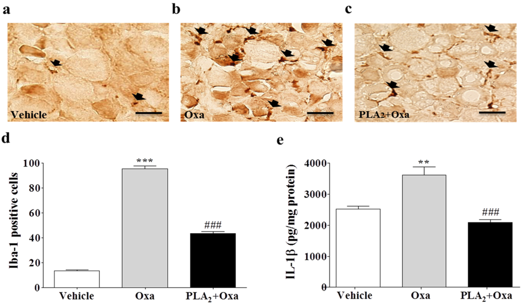 Toxins 08 00027 g002 1024