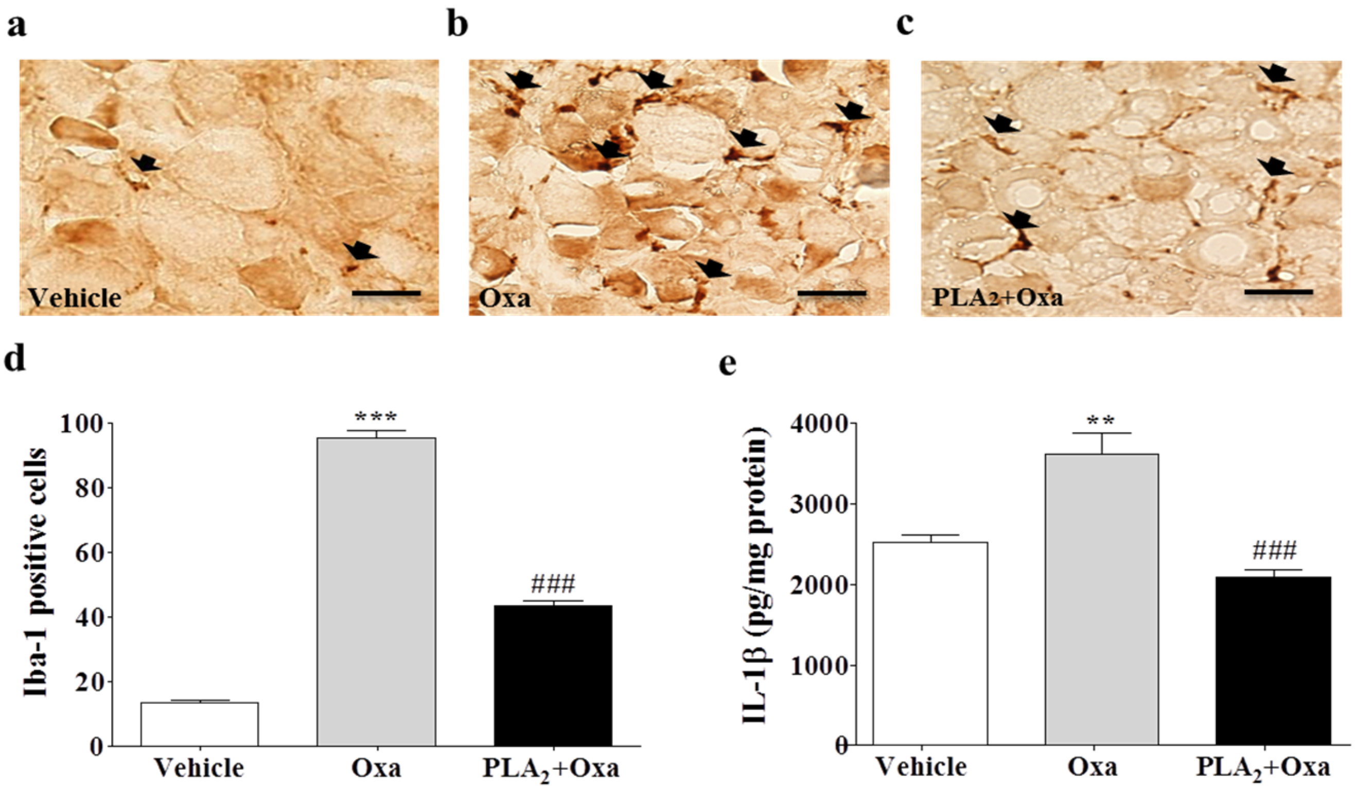 Toxins 08 00027 g002