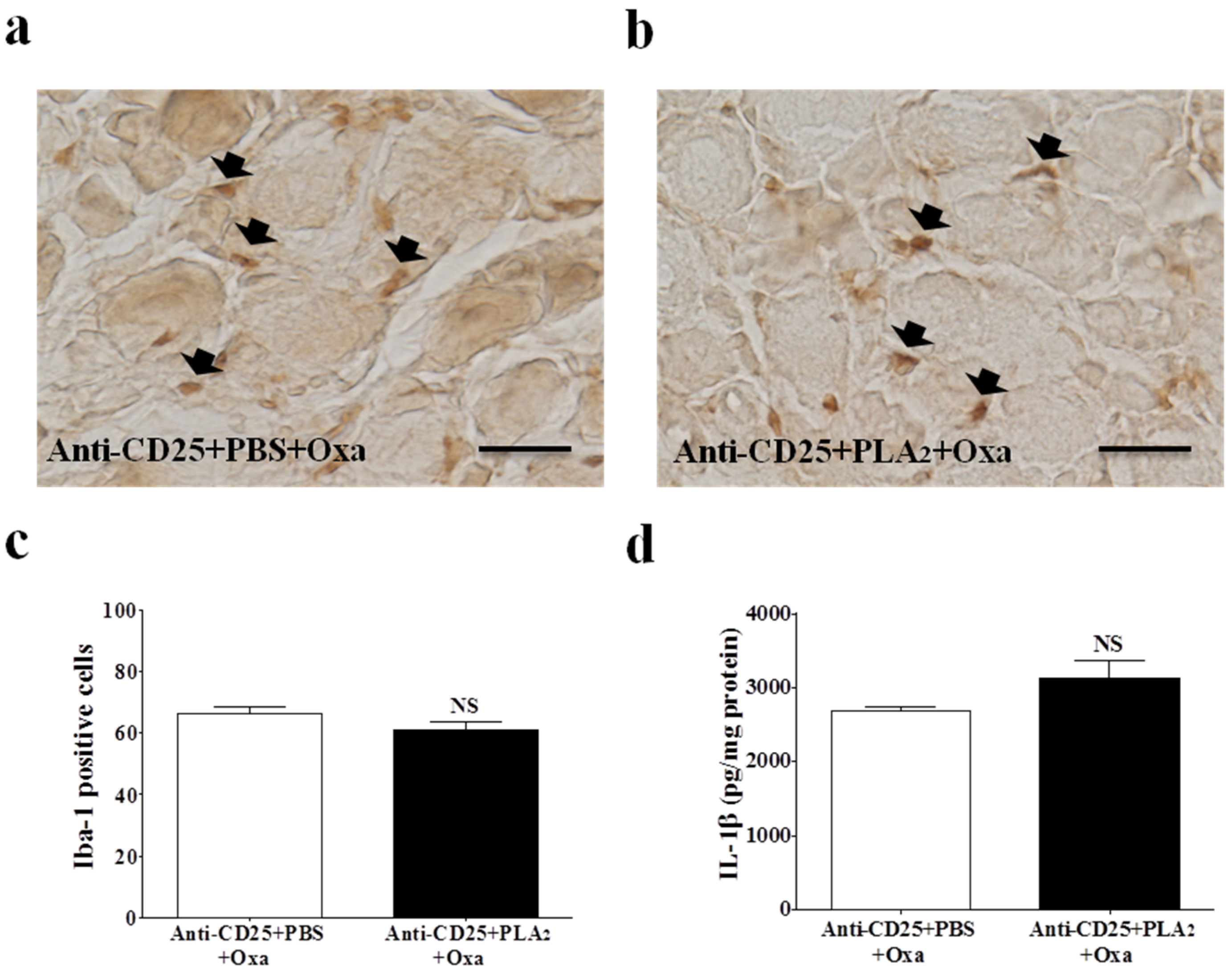 Toxins 08 00027 g005