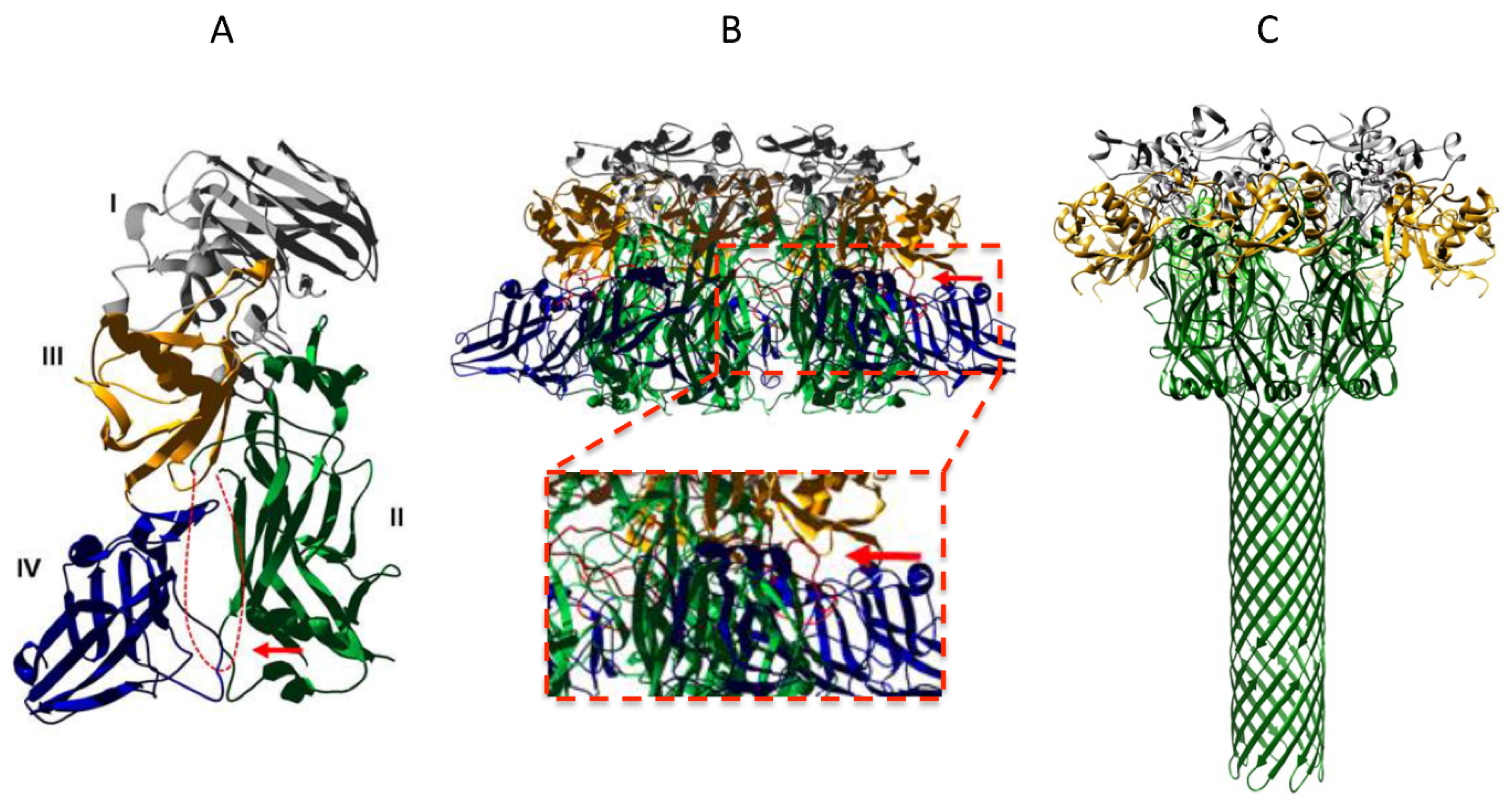 Toxins 08 00034 g002
