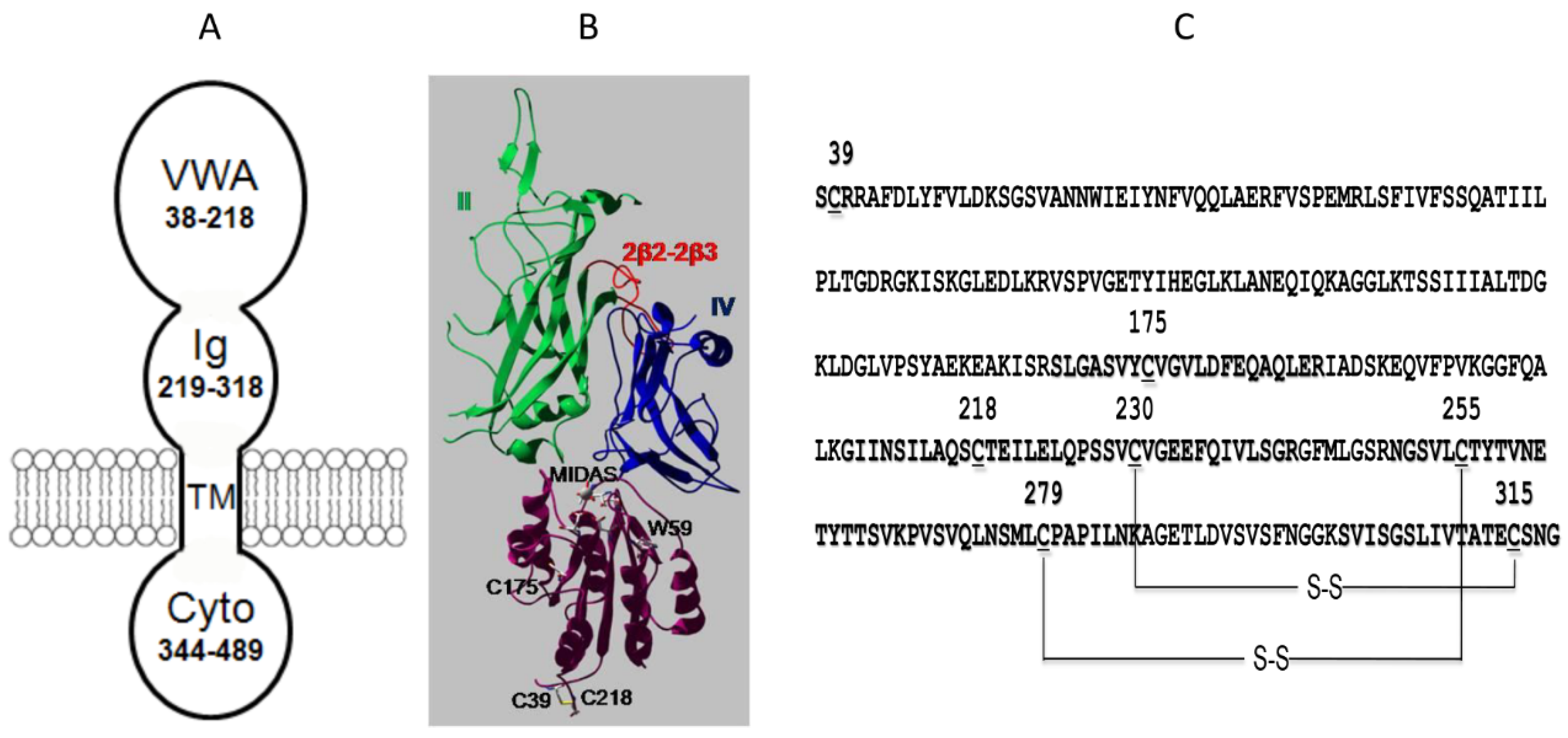 Toxins 08 00034 g003