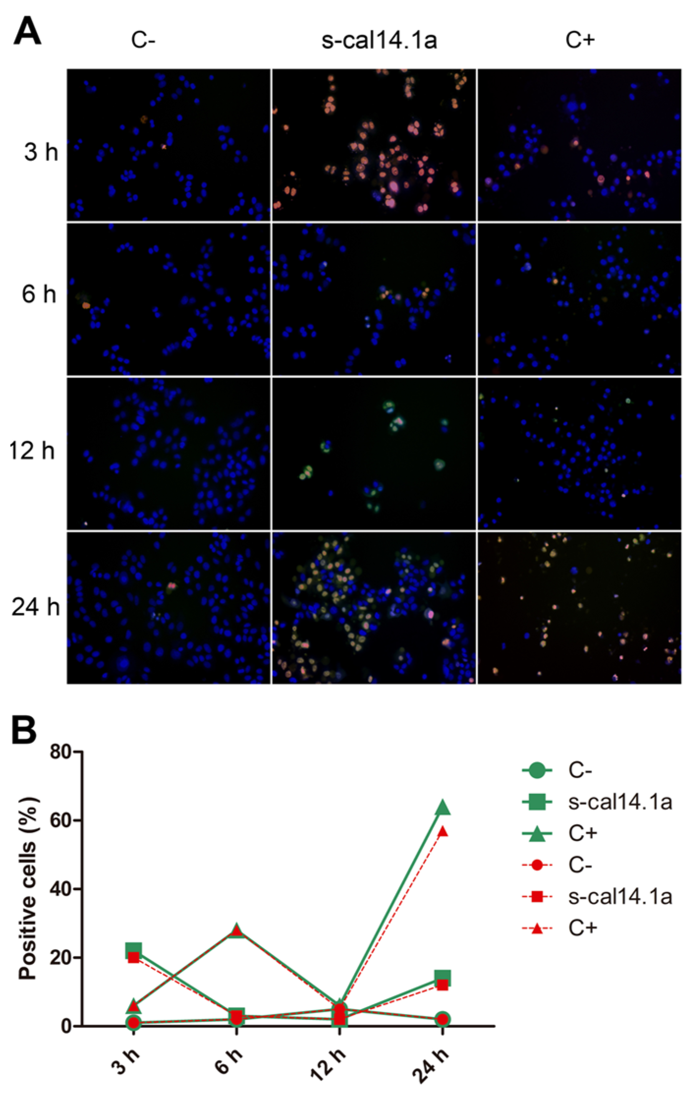 Toxins 08 00038 g004