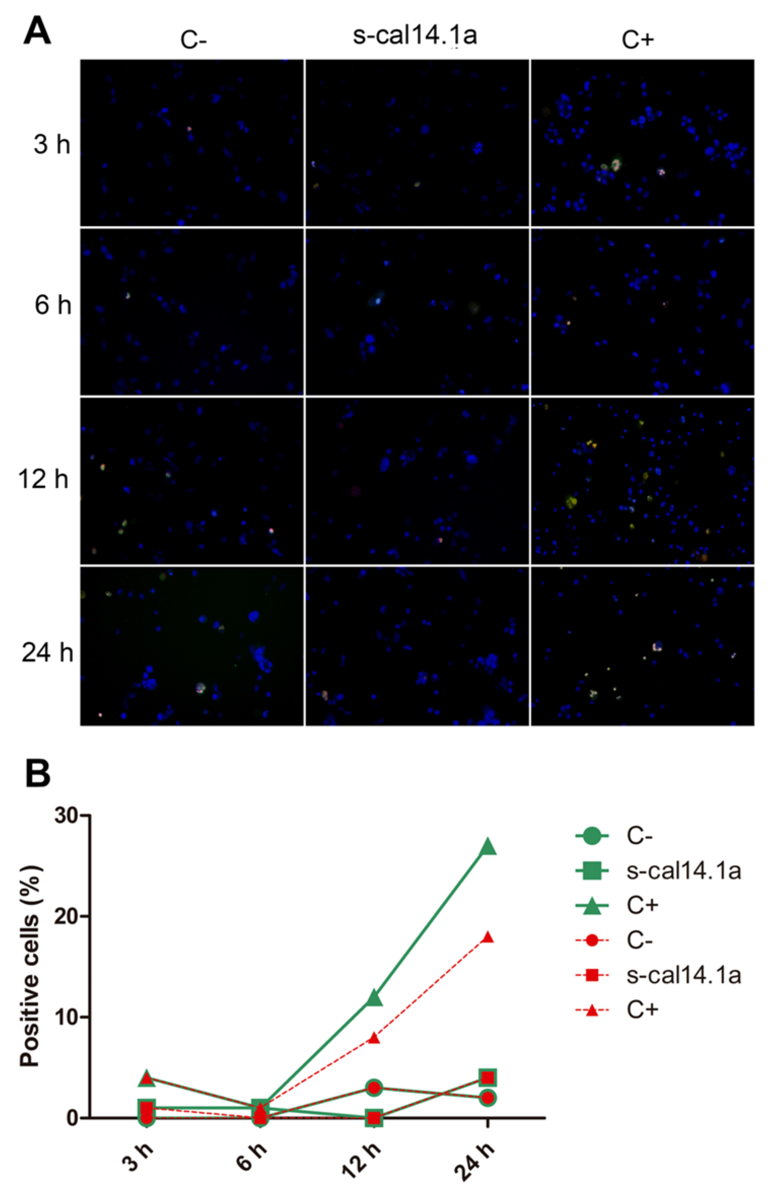 Toxins 08 00038 g005