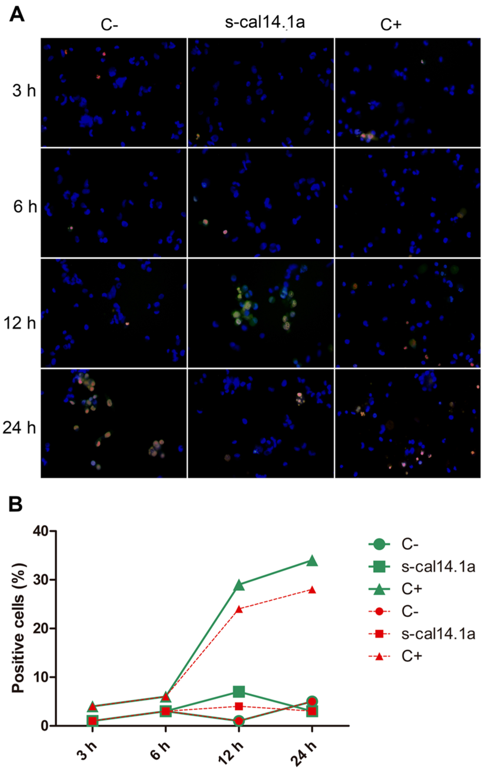 Toxins 08 00038 g006