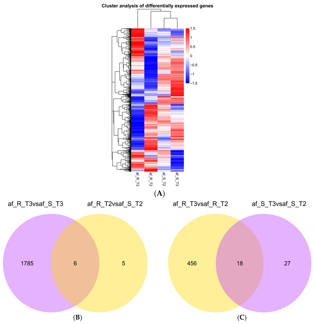 Toxins 08 00046 g001 1024