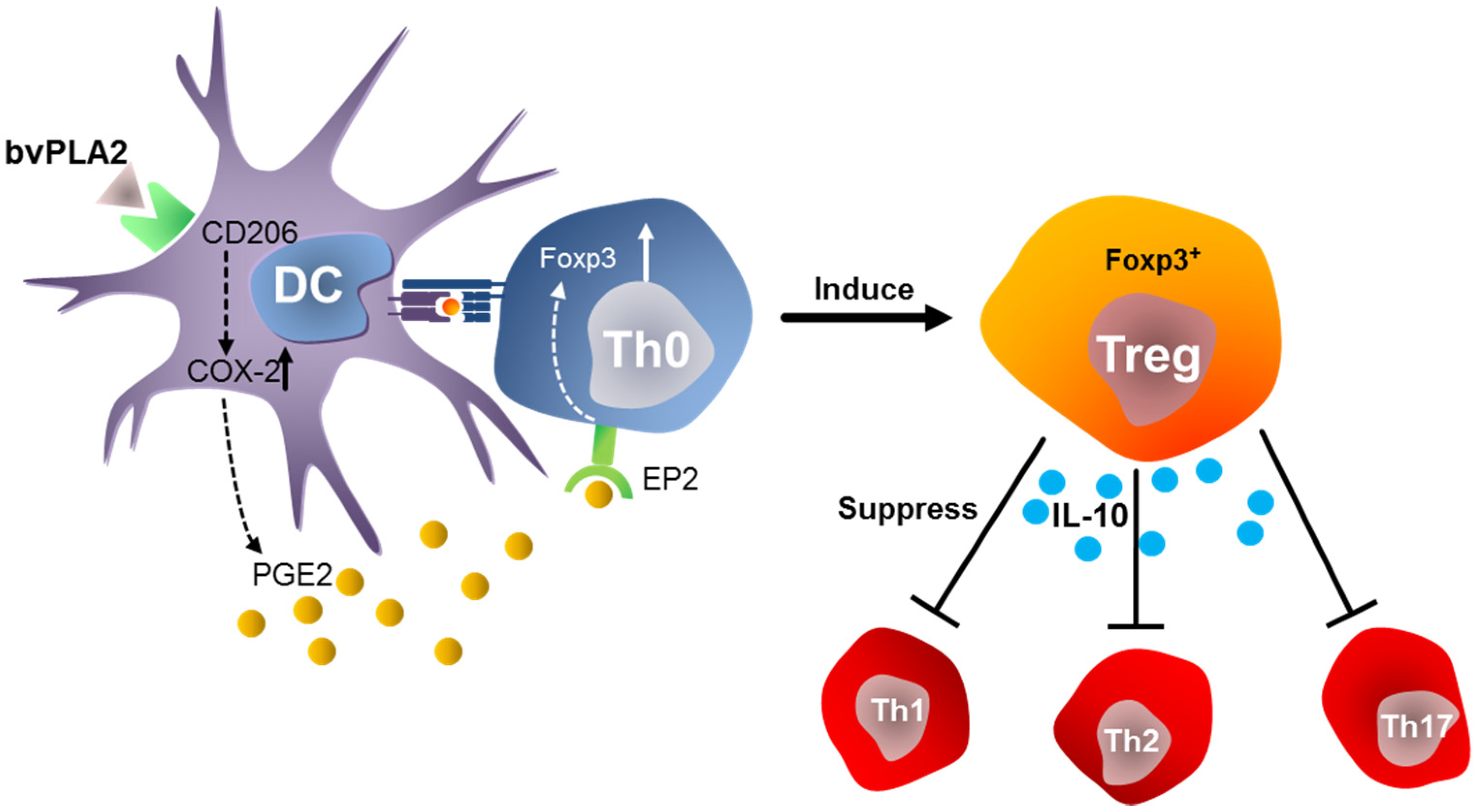Toxins 08 00048 g001