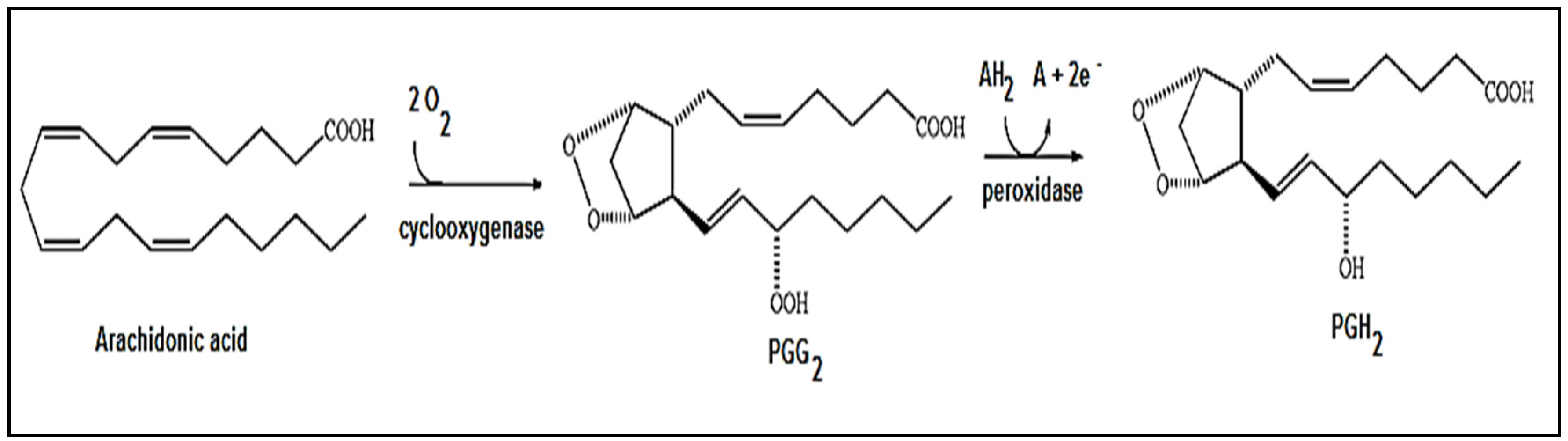 Toxins 08 00061 g002