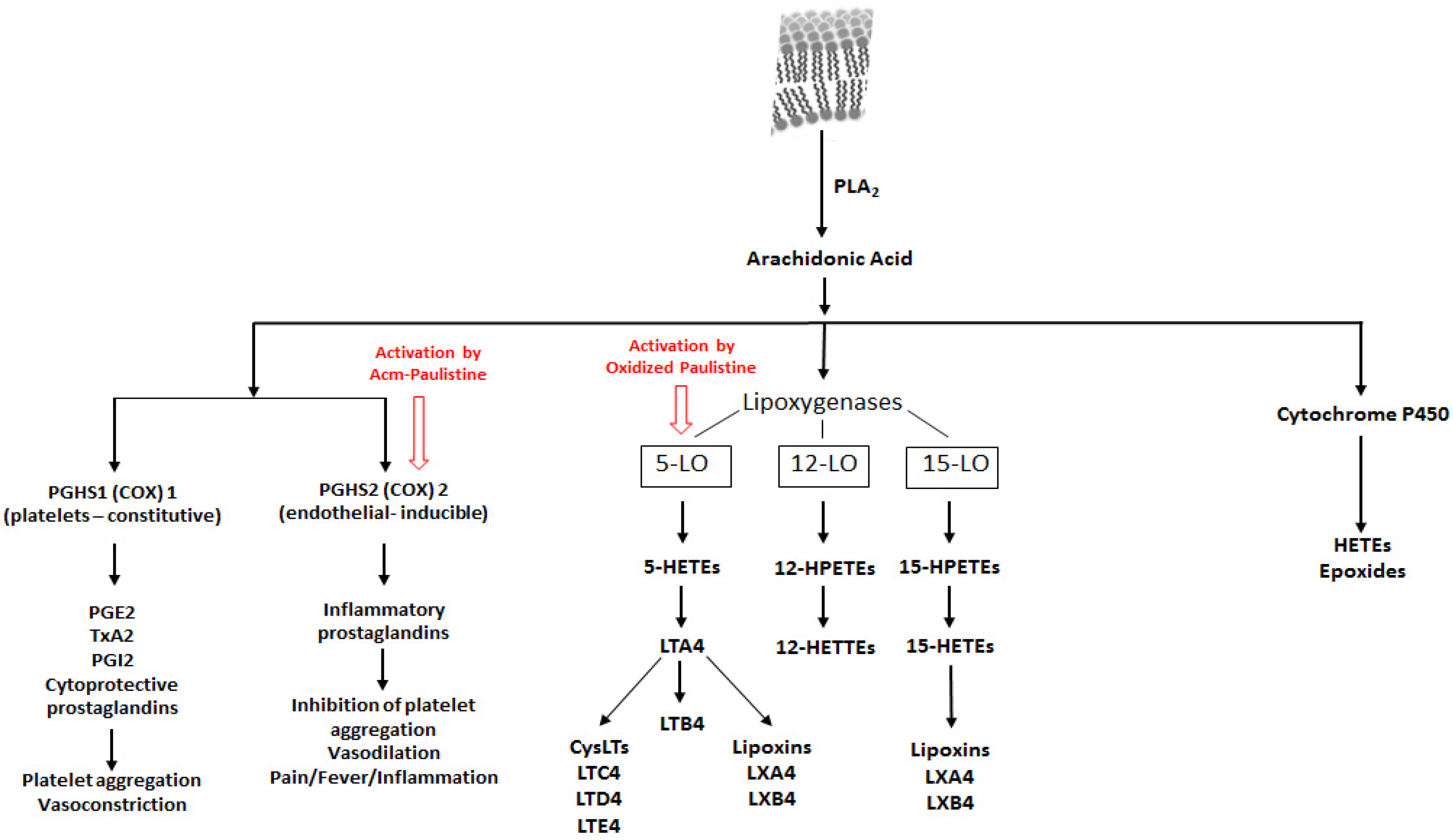 Toxins 08 00061 g003