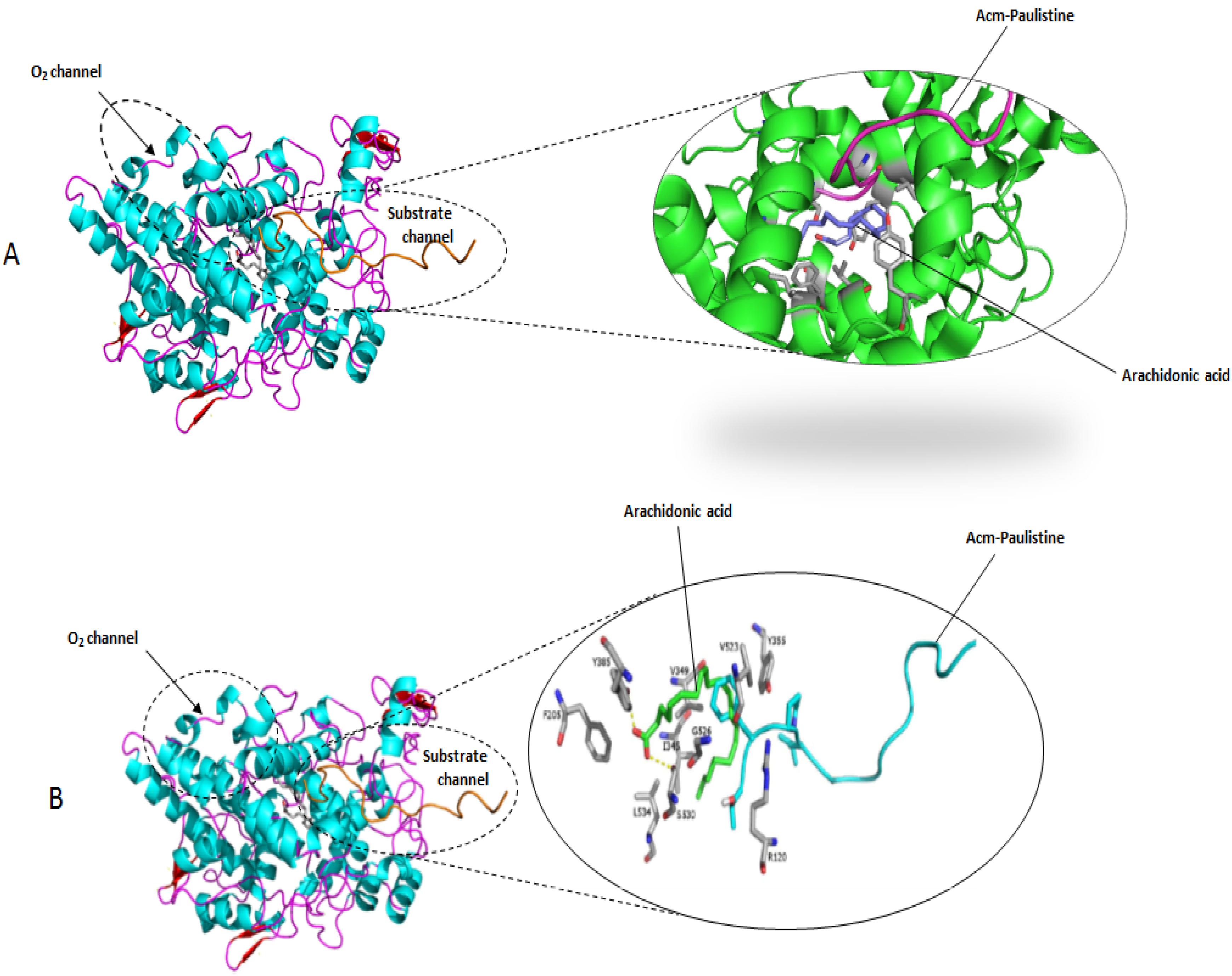 Toxins 08 00061 g004
