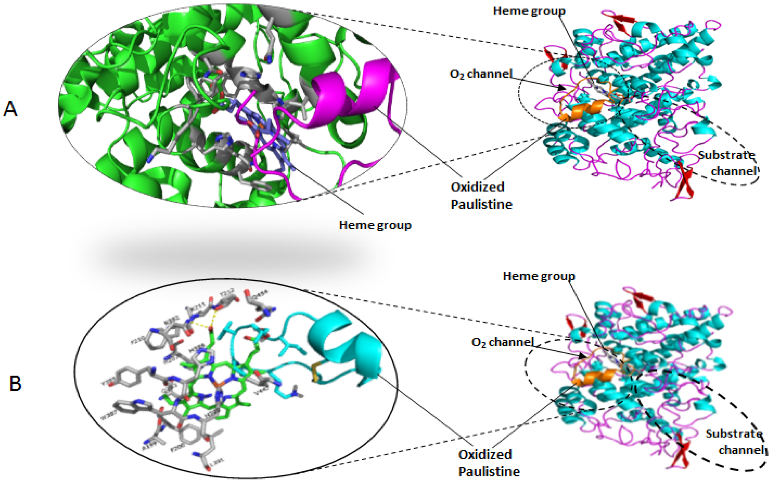 Toxins 08 00061 g005