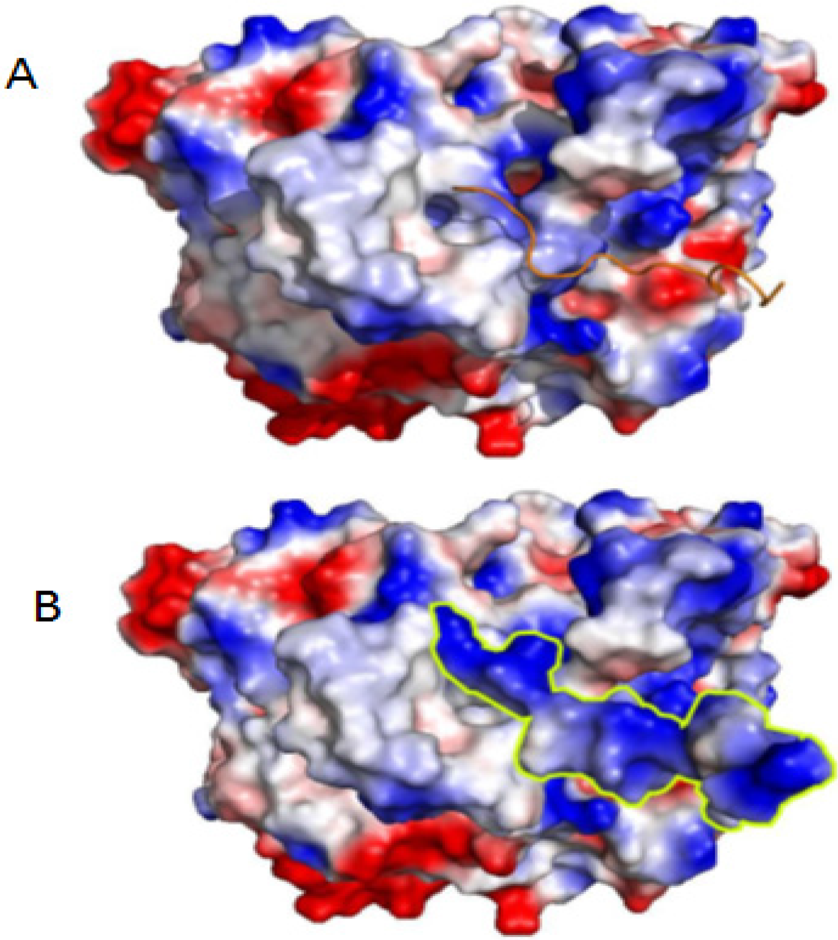 Toxins 08 00061 g007