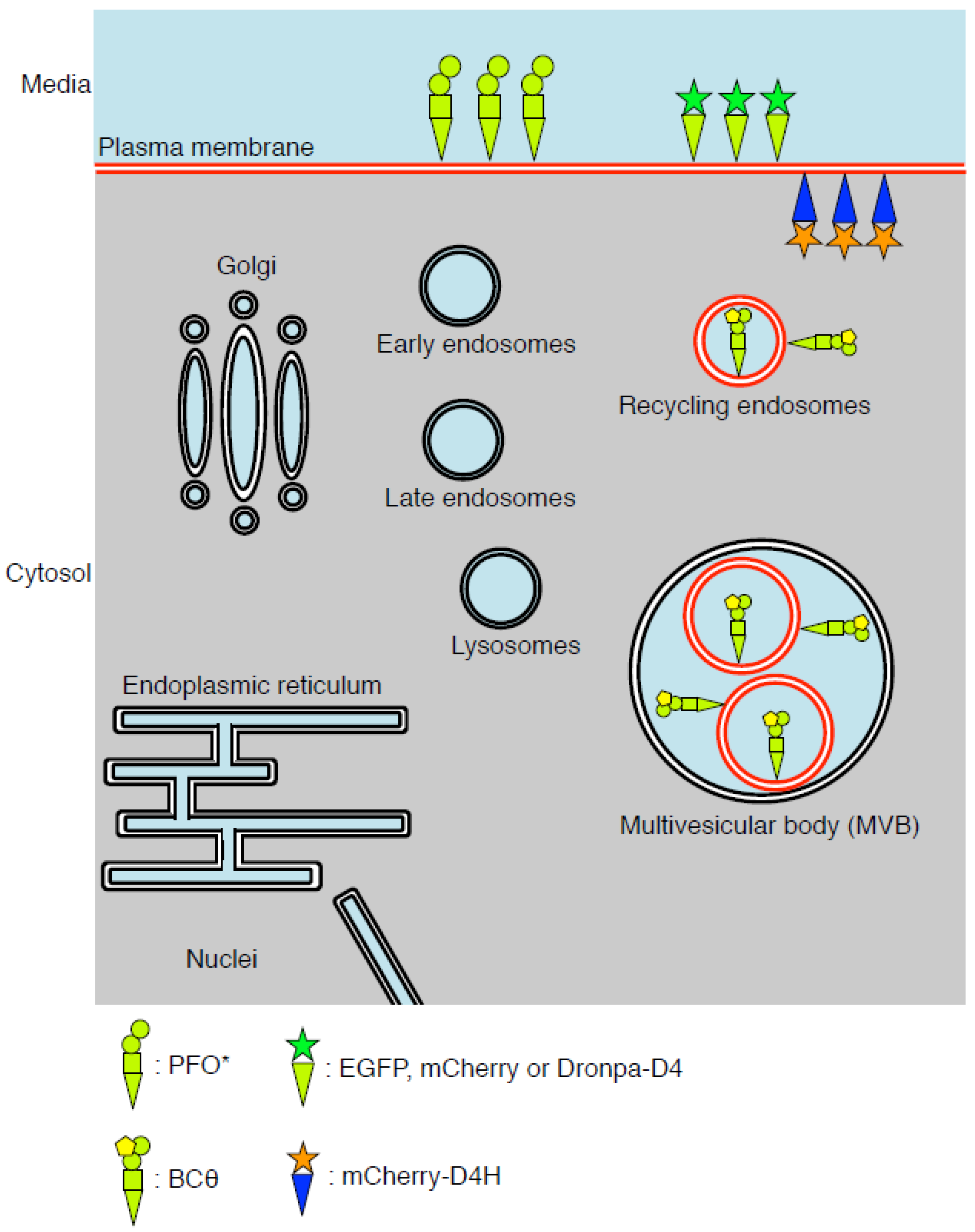 Toxins 08 00067 g001