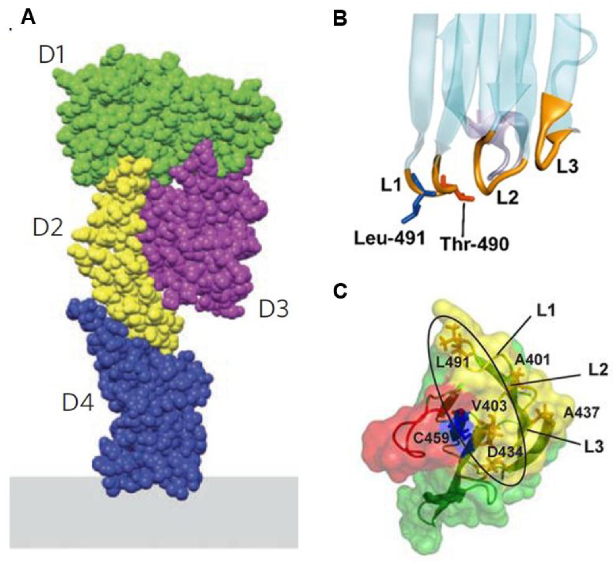 Toxins 08 00067 g002