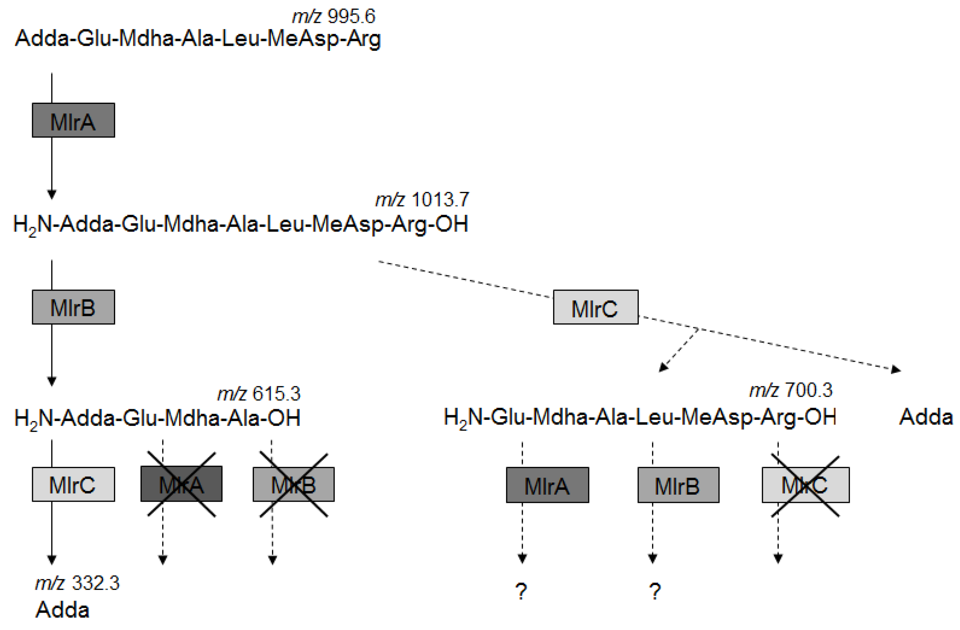 Toxins 08 00076 g004