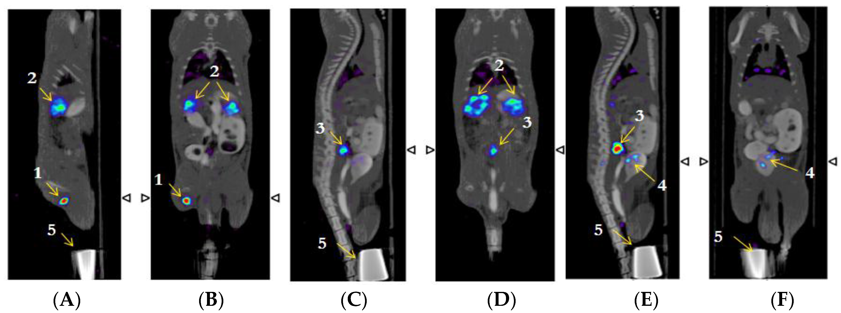 Toxins 08 00085 g004