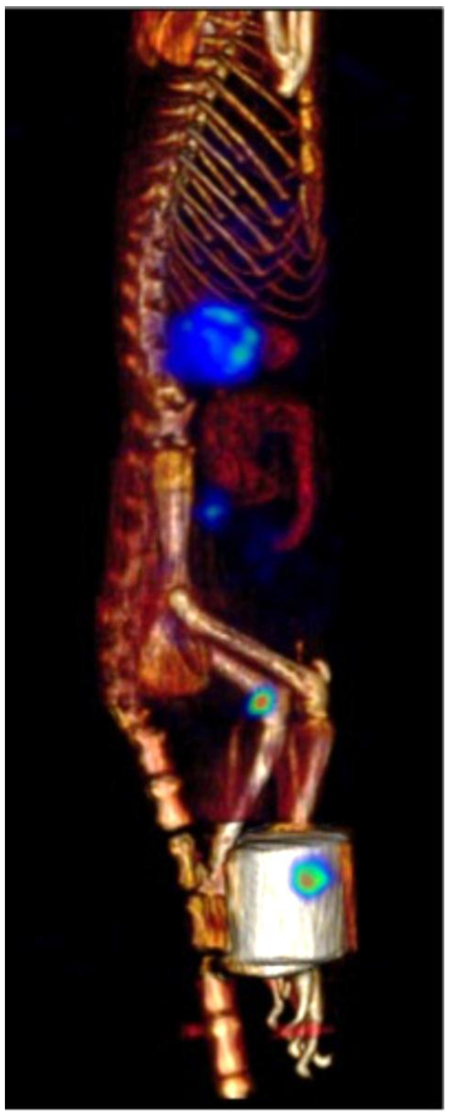 Toxins 08 00085 g005