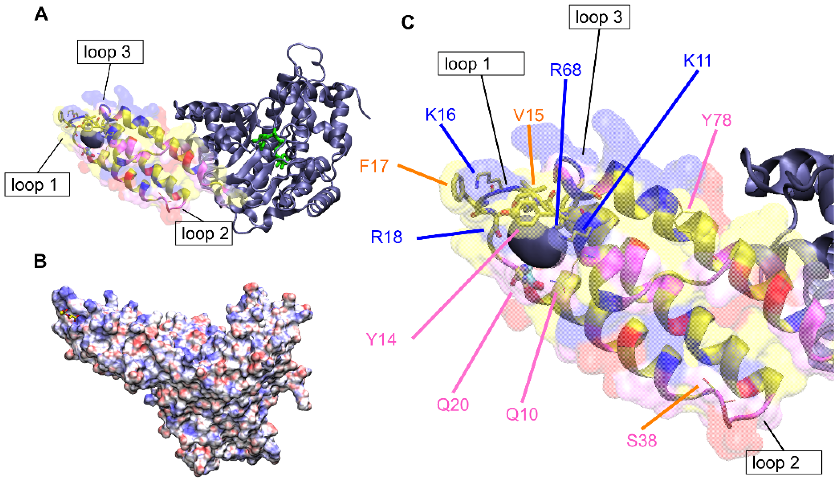 Toxins 08 00090 g001
