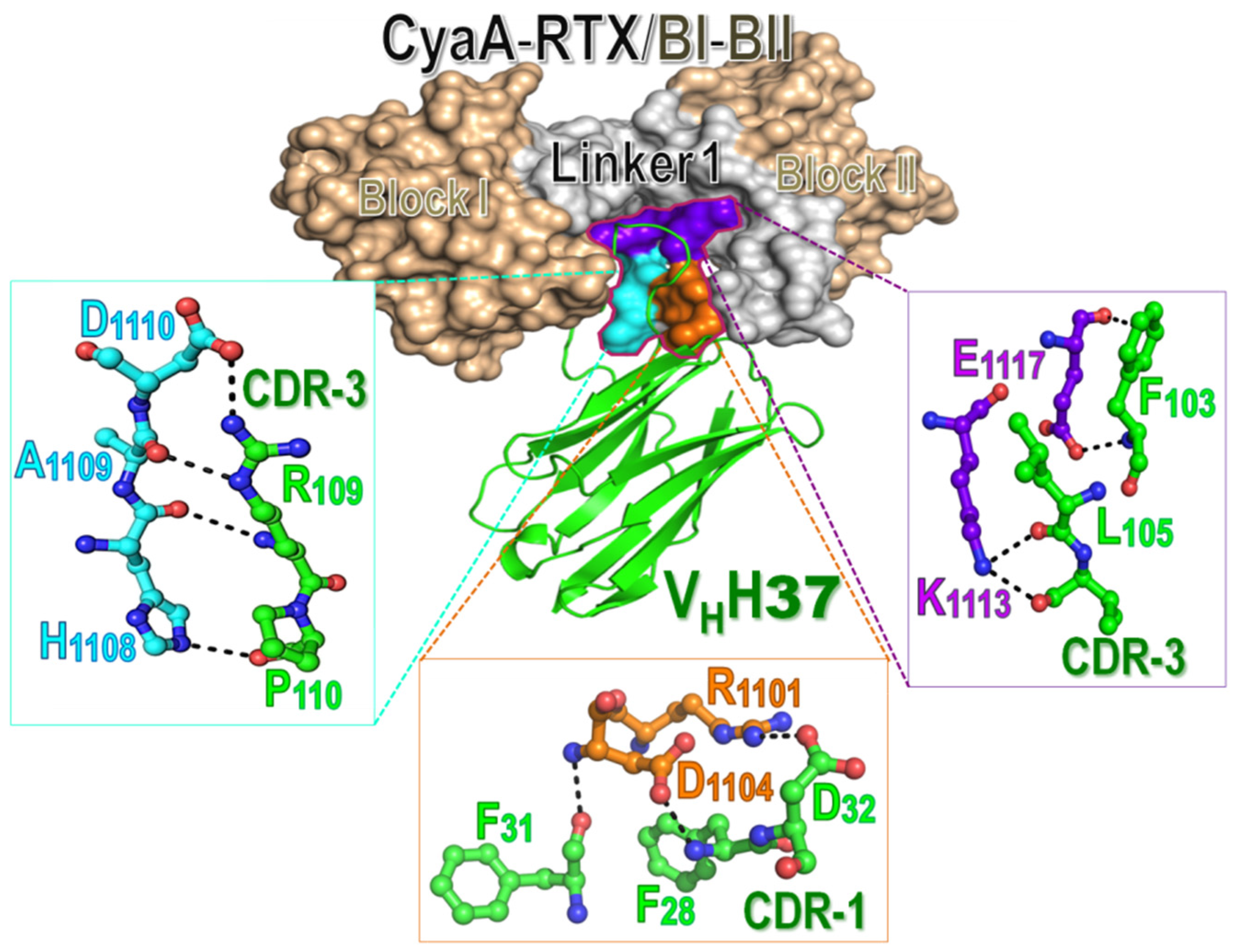 Toxins 08 00099 g005